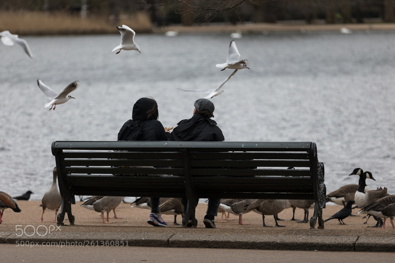 Canon EOS 5D Mark IV sample photo. Street photojournal photography