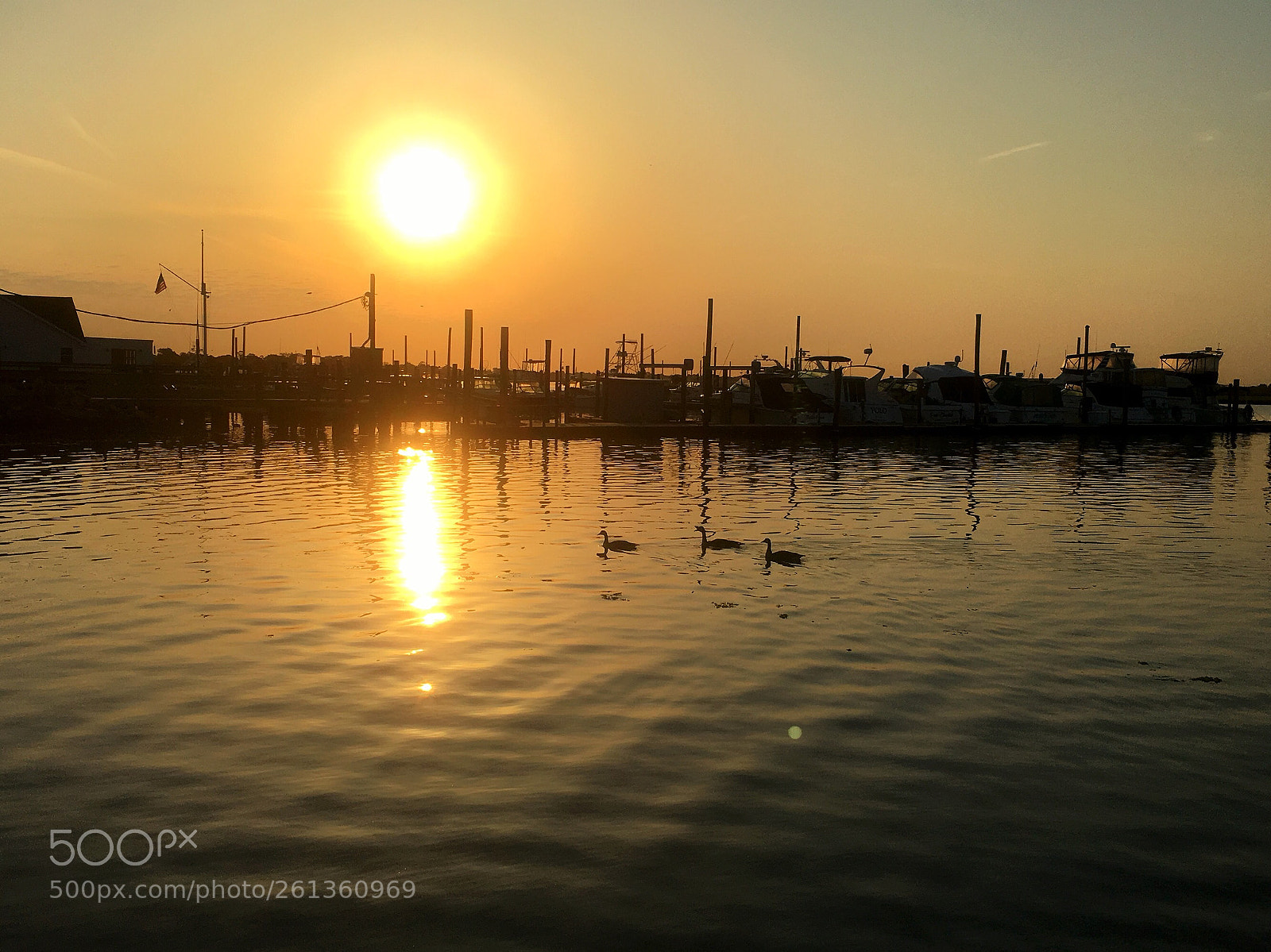 Apple iPhone 6s sample photo. Waterfront photography