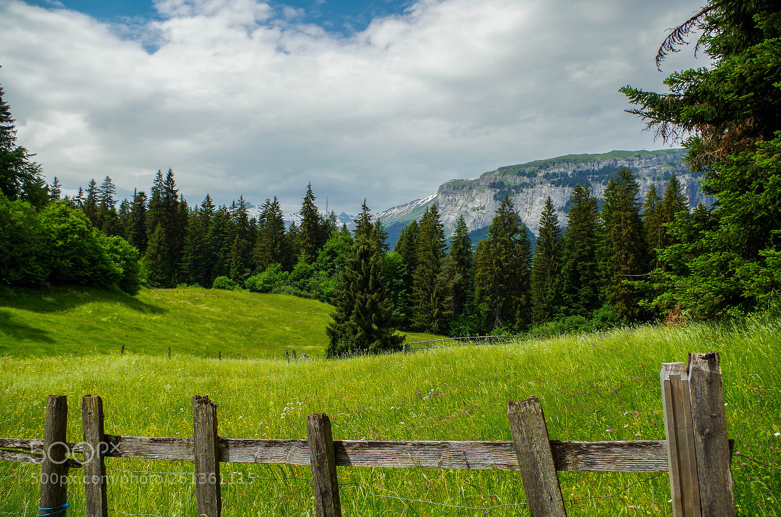 Pentax K-30 sample photo. Green pearl switzerland photography