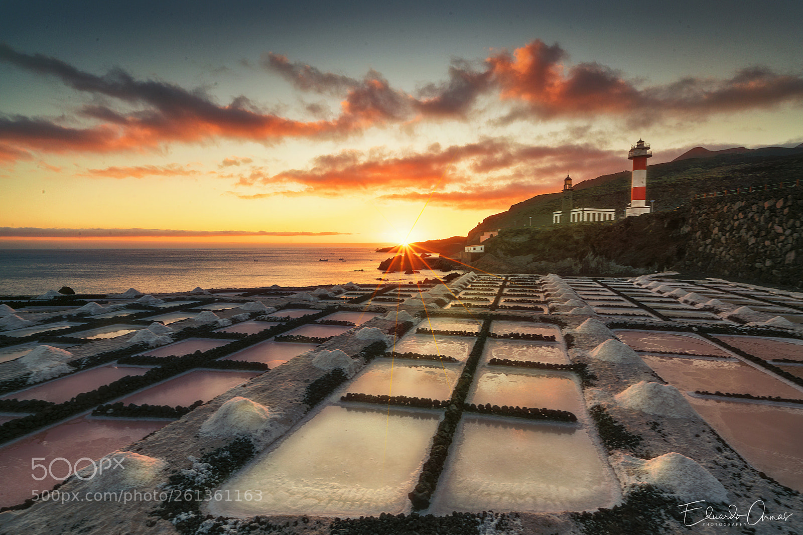 Sony a7R II sample photo. Salty cluster photography