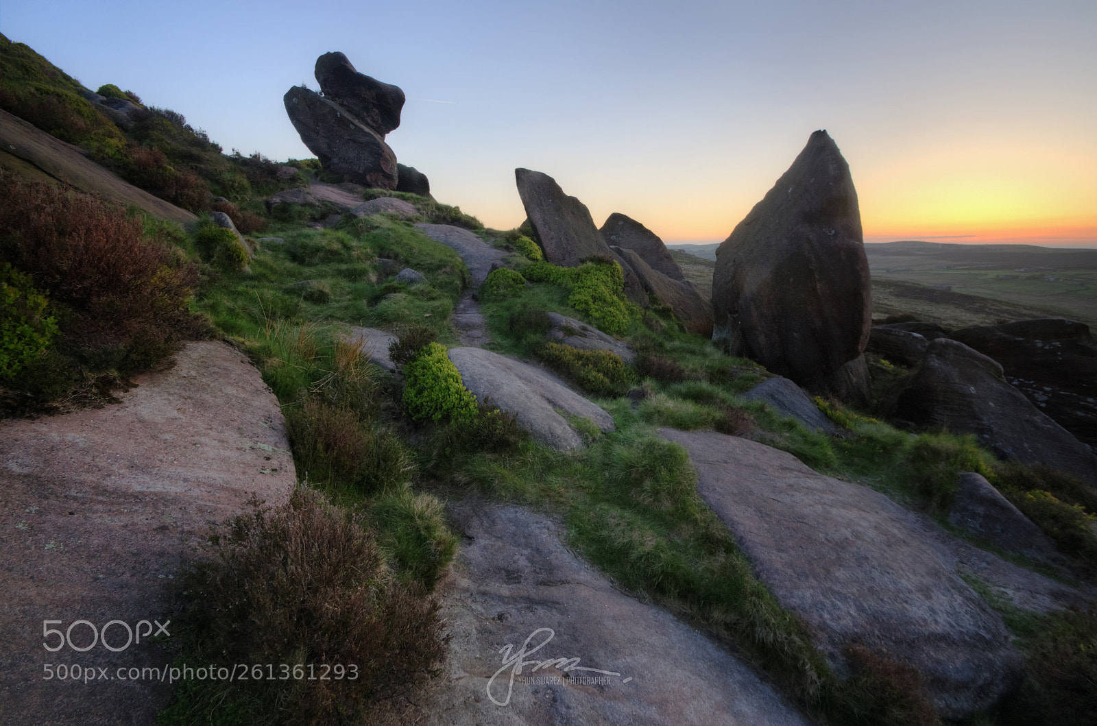 Nikon D90 sample photo. The roaches photography