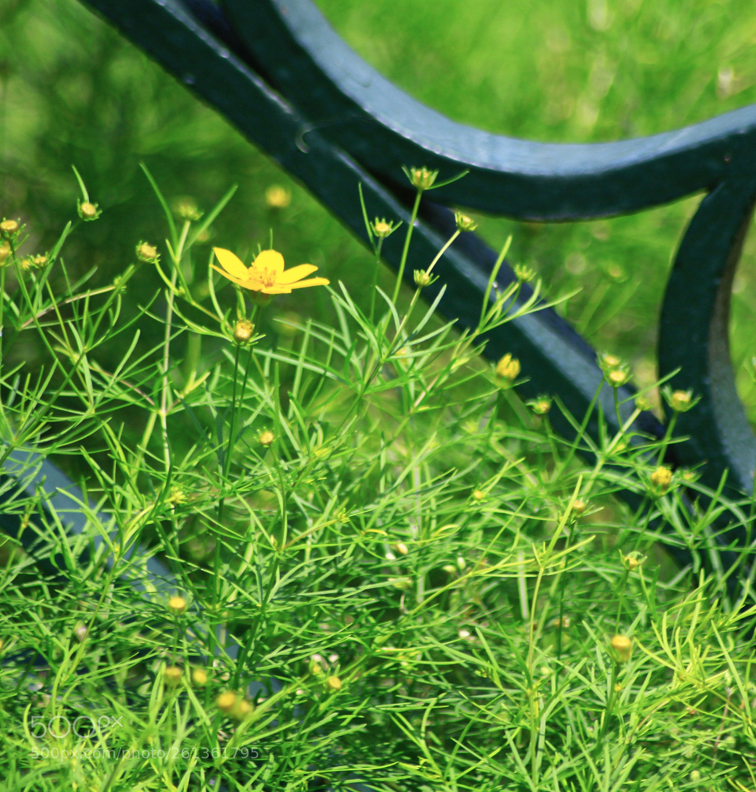 Canon EOS 50D sample photo. The river farm conservatory  photography