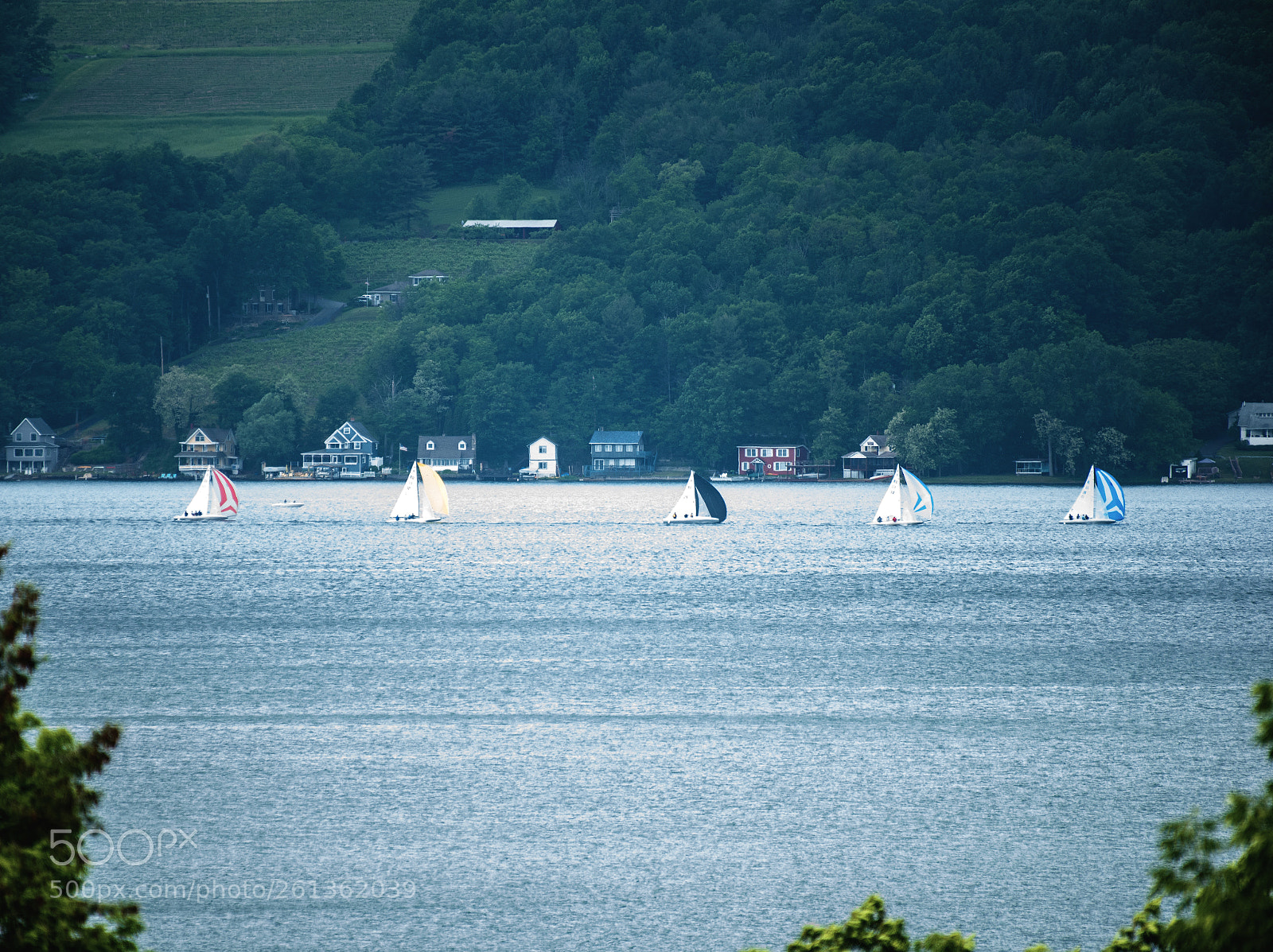 Nikon D750 sample photo. Sailboats on keuka lake photography