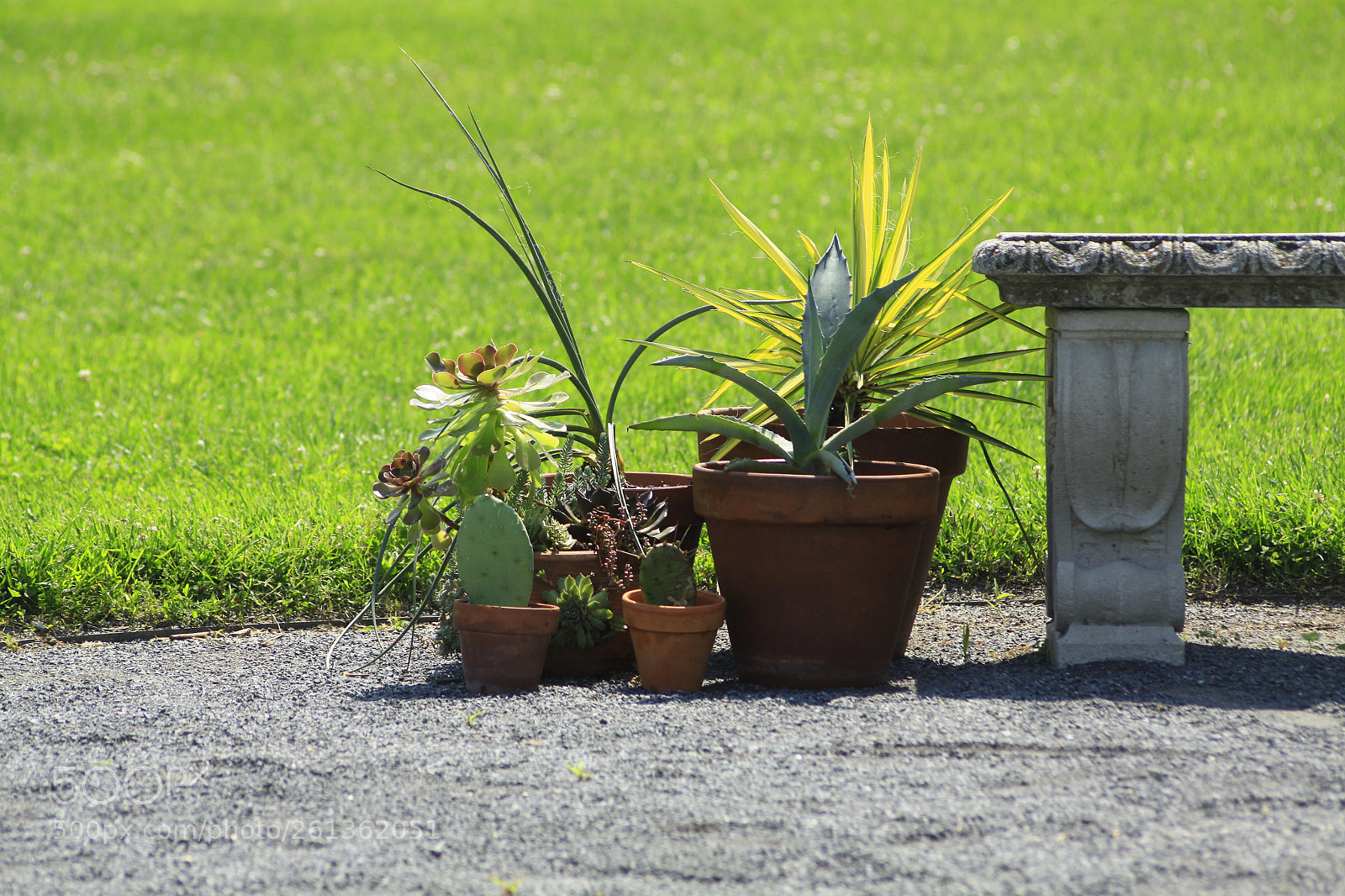 Canon EOS 50D sample photo. In front of the photography