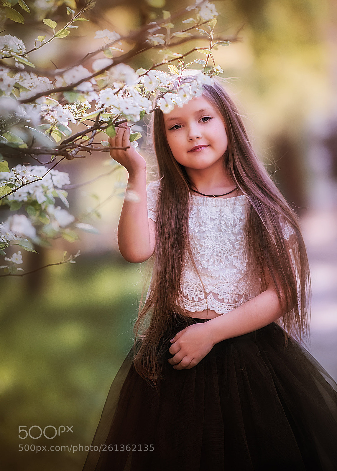 Nikon D750 sample photo. а photography