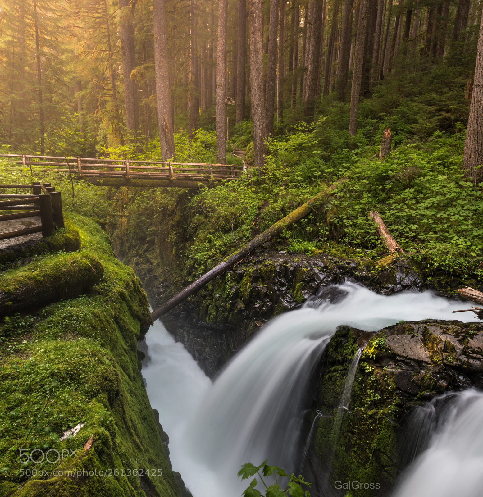 Nikon D750 sample photo. Sol duc falls photography