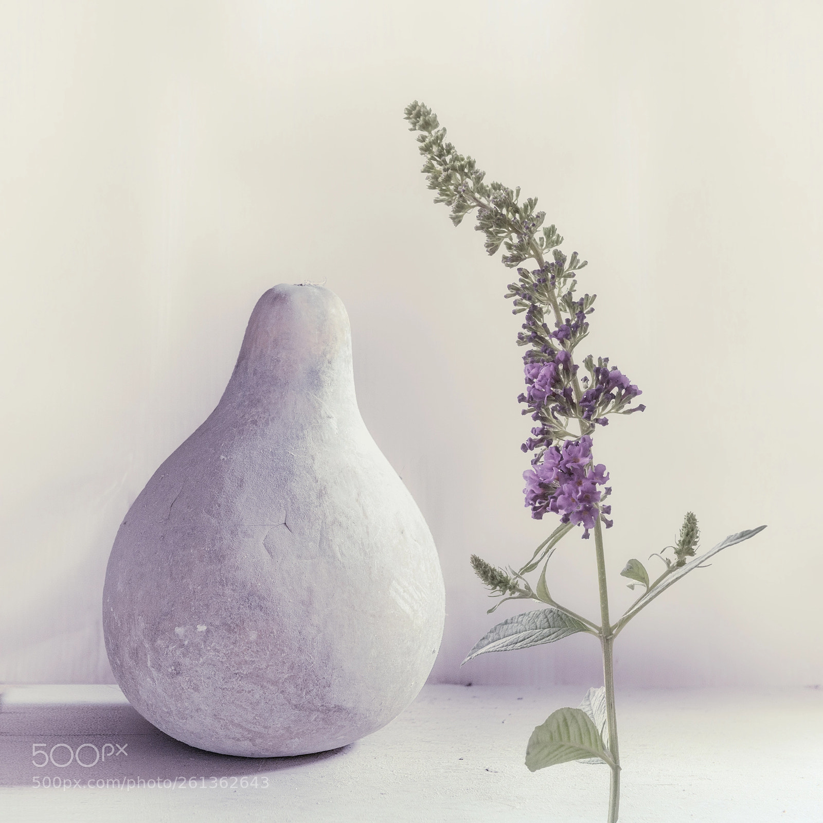 Nikon D800 sample photo. Summer lilac photography