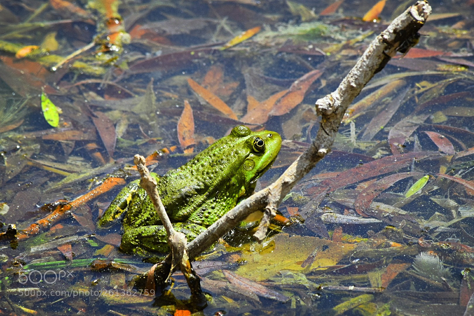 Nikon D5300 sample photo. Ich warte auf ne photography