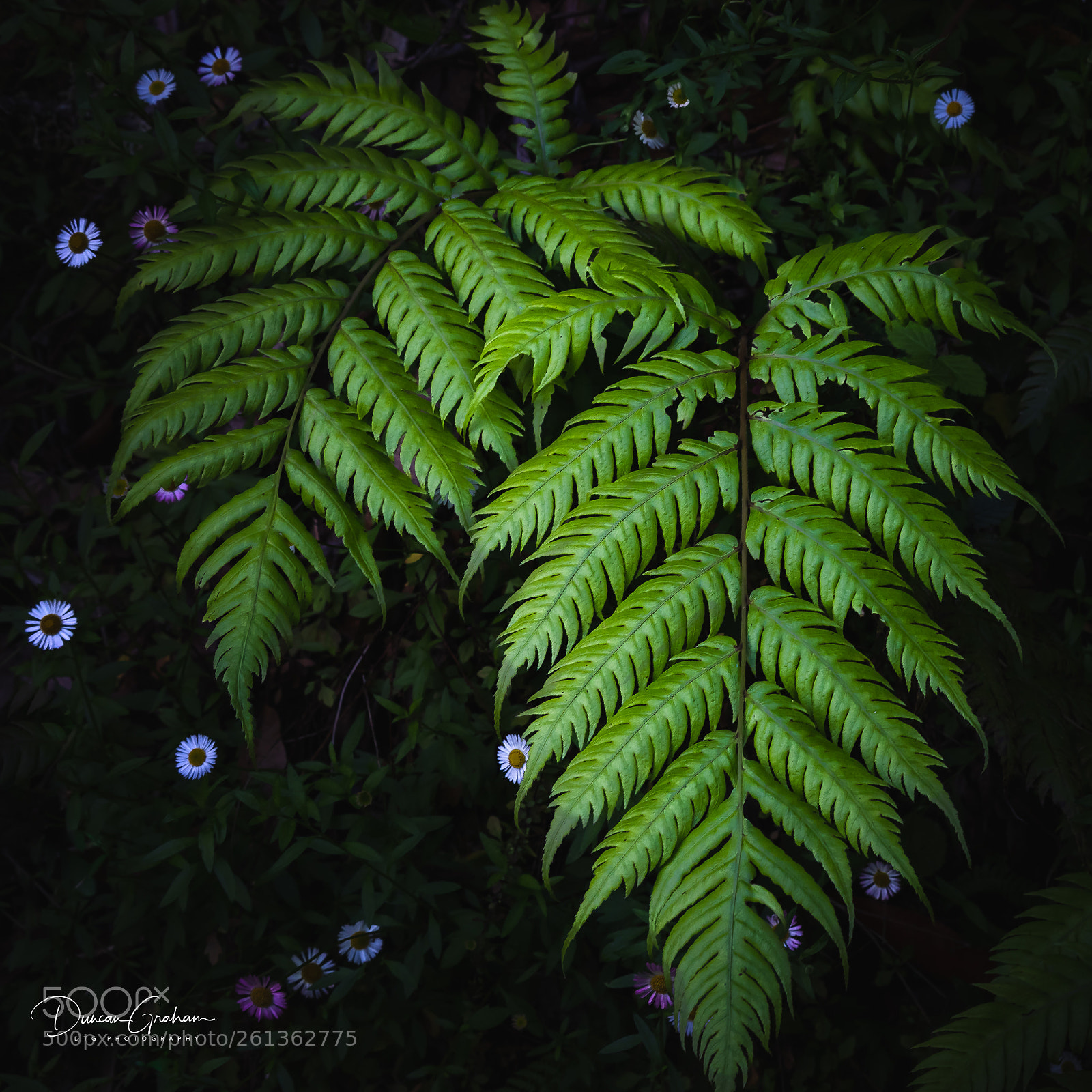 Canon EOS 5D Mark IV sample photo. Structure photography