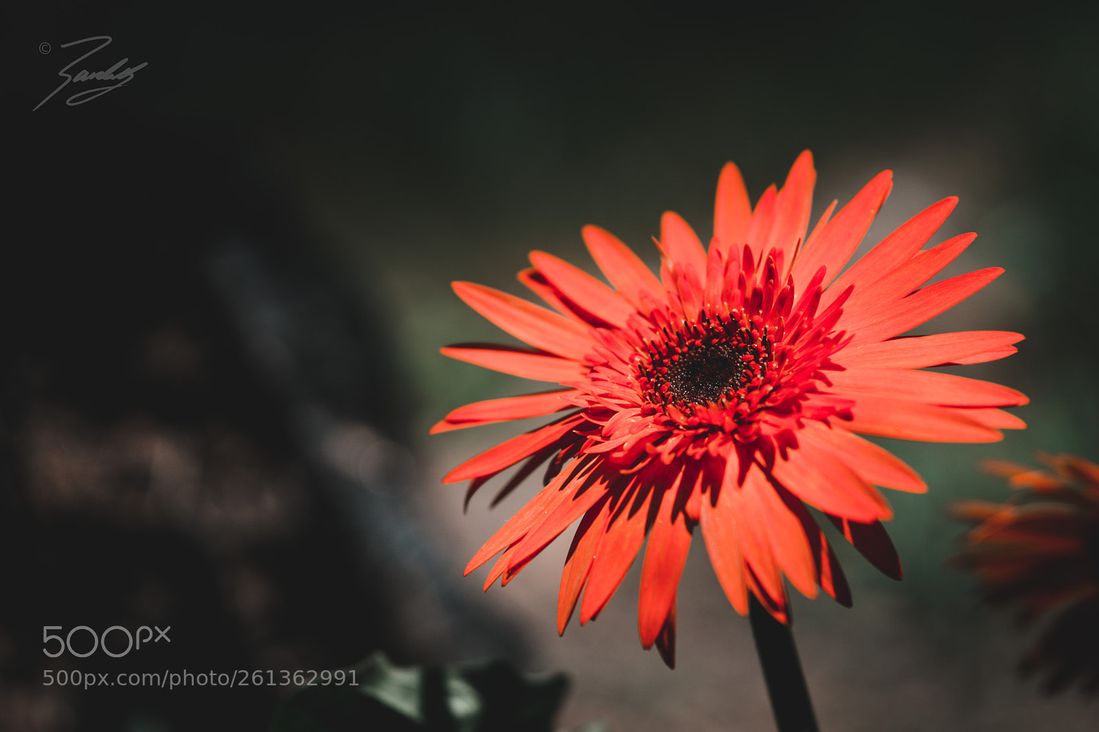 Sony a6000 sample photo. Lonely photography