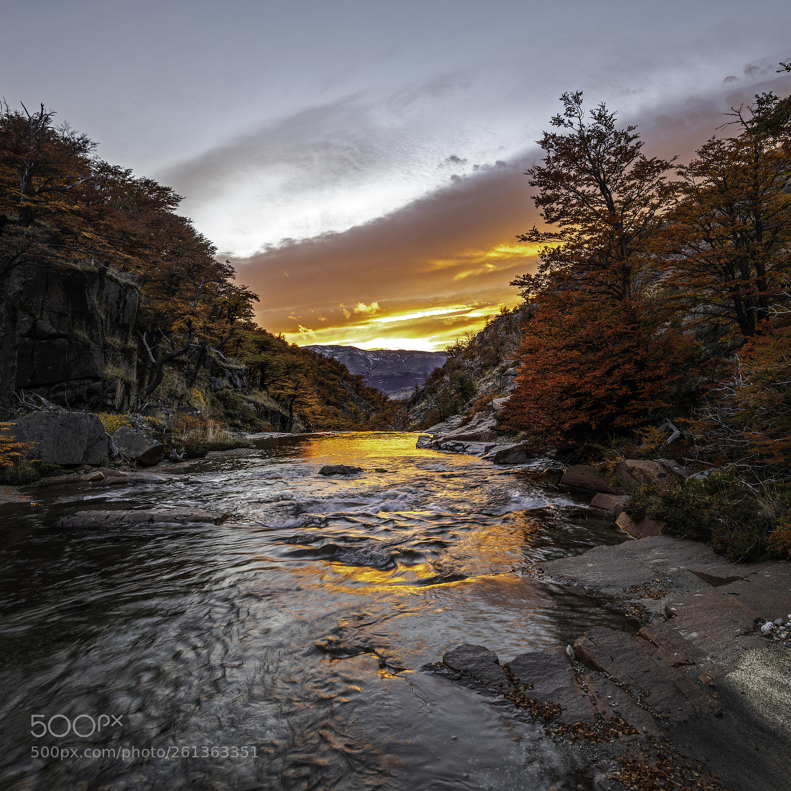 Nikon D850 sample photo. River of lava photography