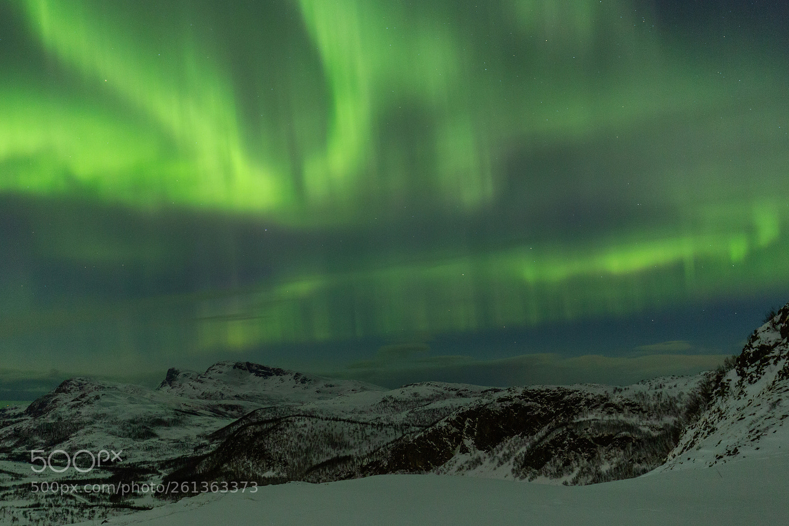 Canon EOS 6D sample photo. Northern lights over snow photography