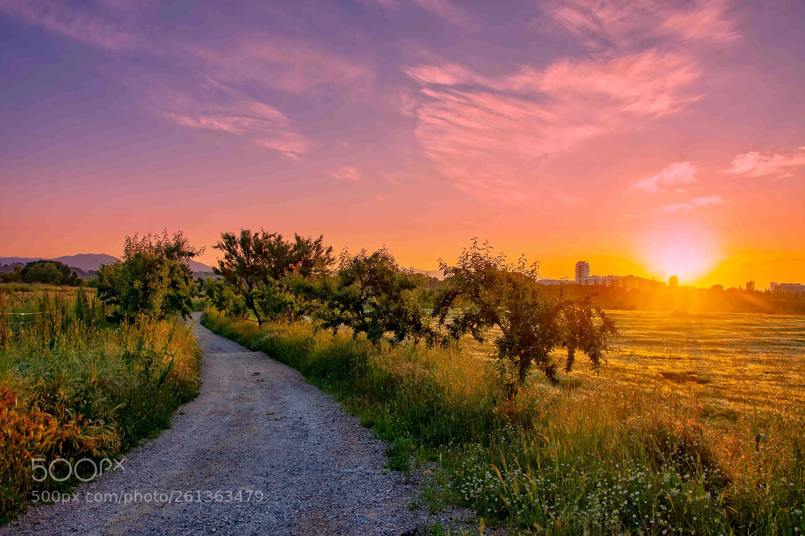 Nikon D7200 sample photo. Camino hacia el amanecer photography