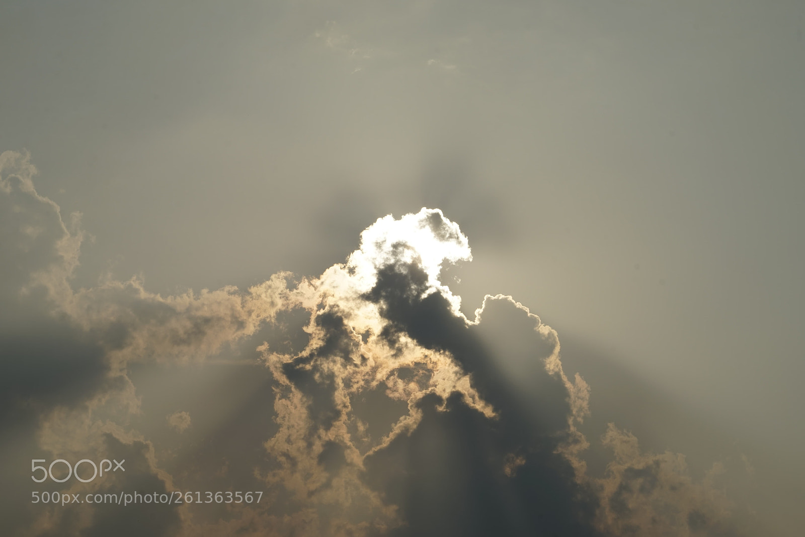 Sony a7R sample photo. Dsc photography
