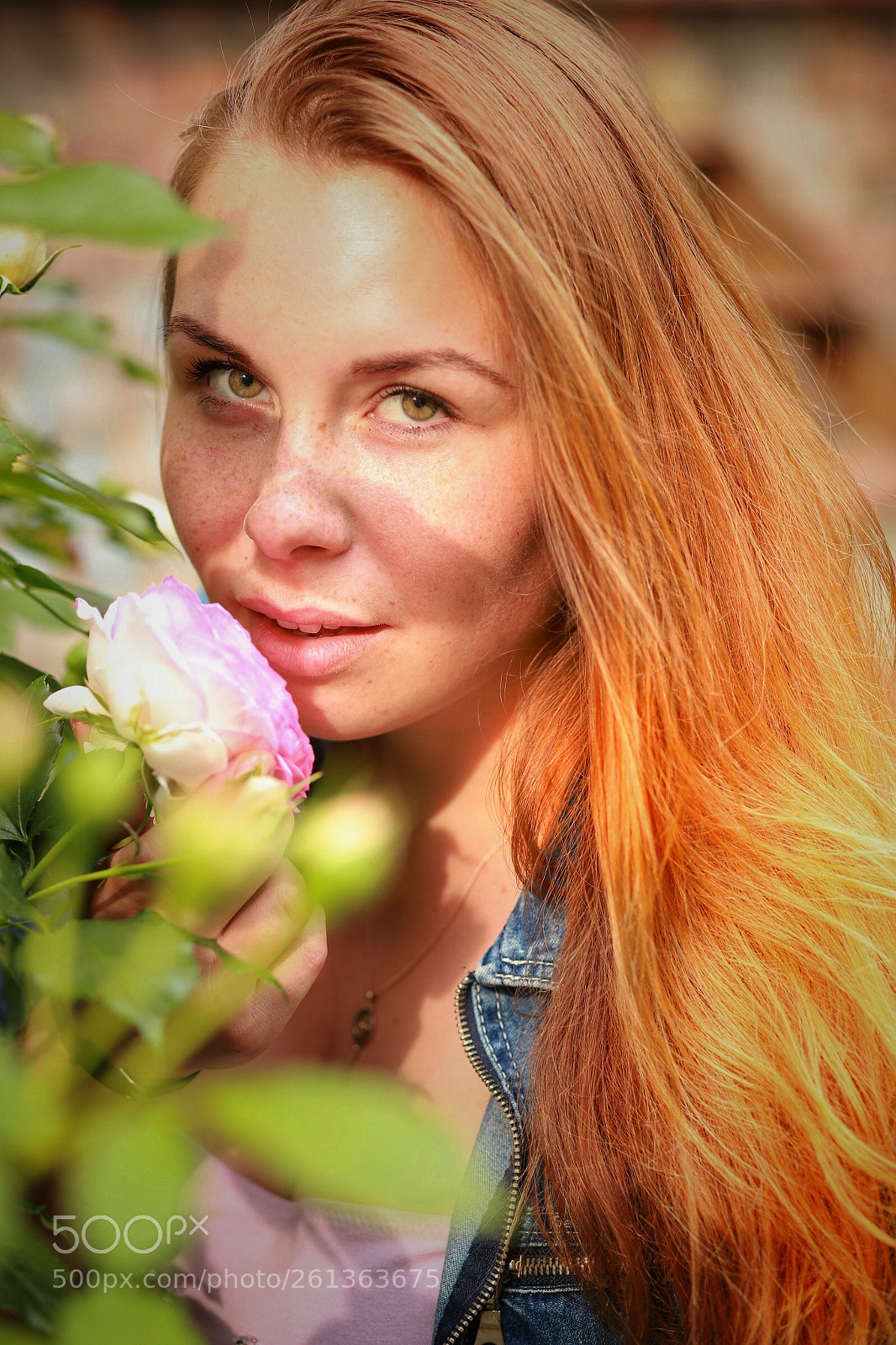 Canon EOS 6D Mark II sample photo. Untitled photography
