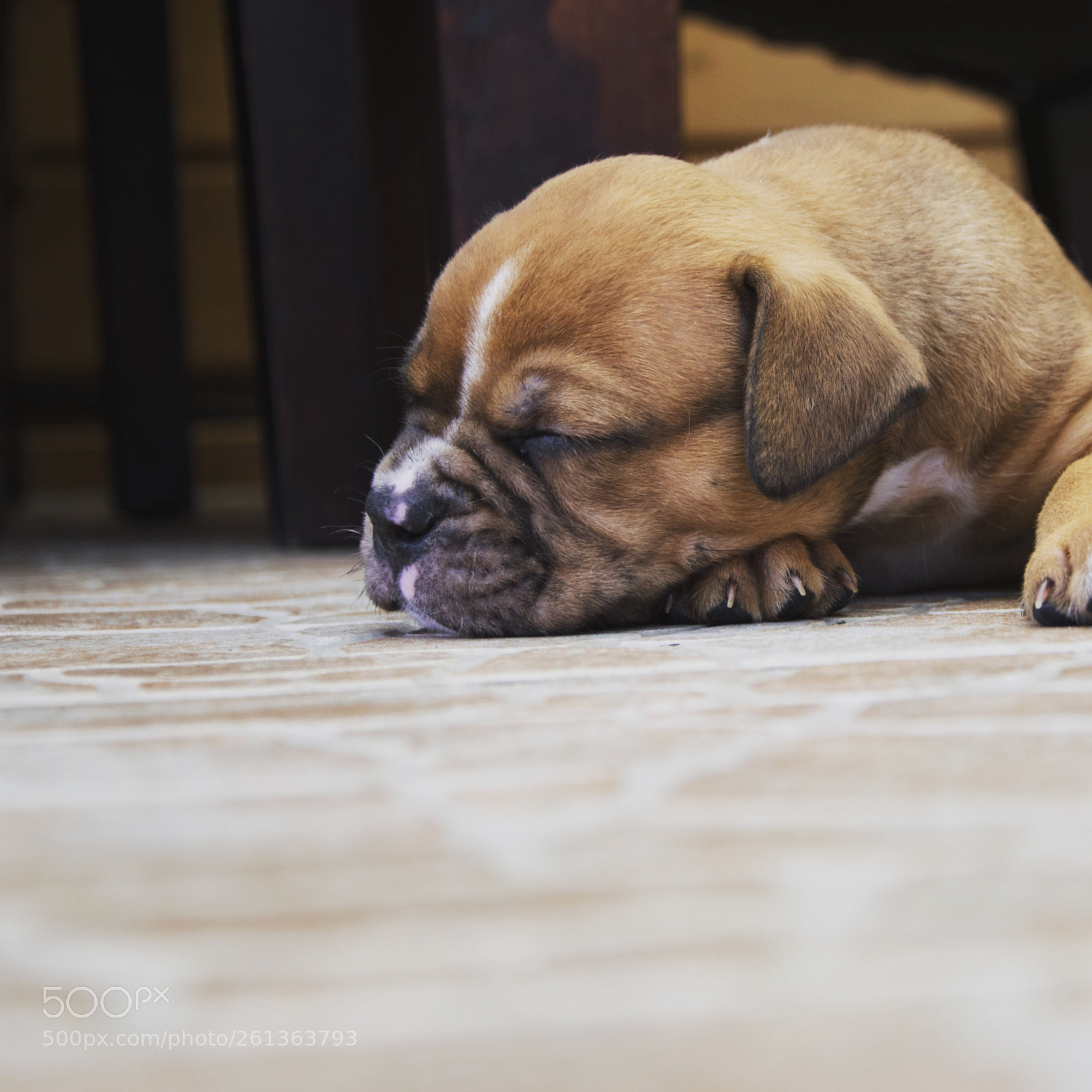 Nikon D5300 sample photo. Untitled photography