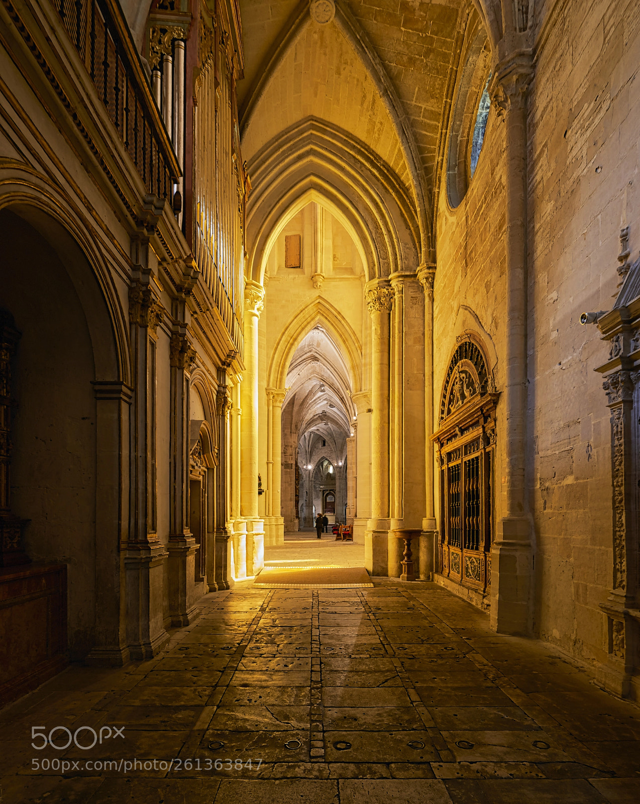 Nikon D800 sample photo. Catedral de santa mar photography