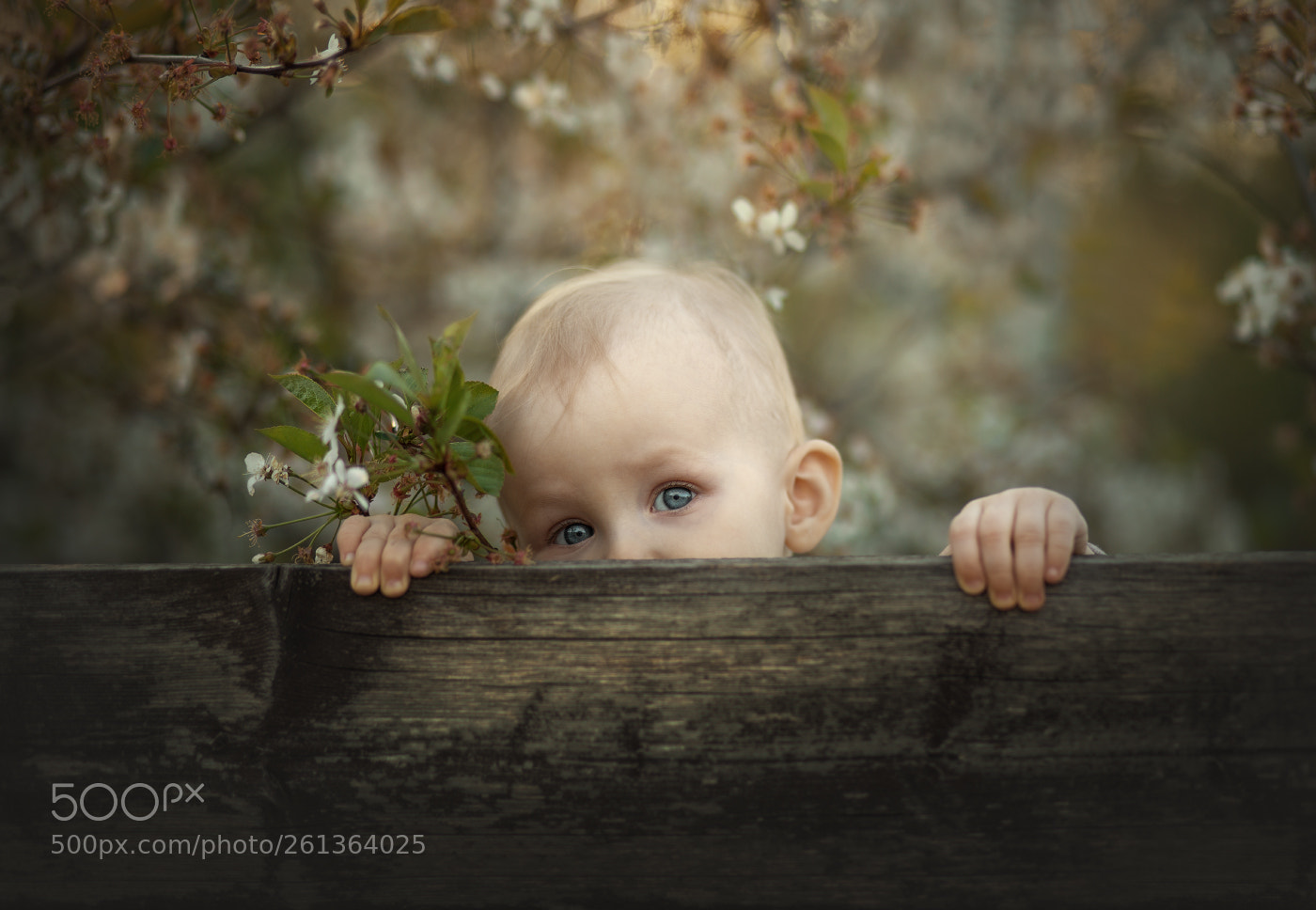 Canon EOS 6D sample photo. ... photography