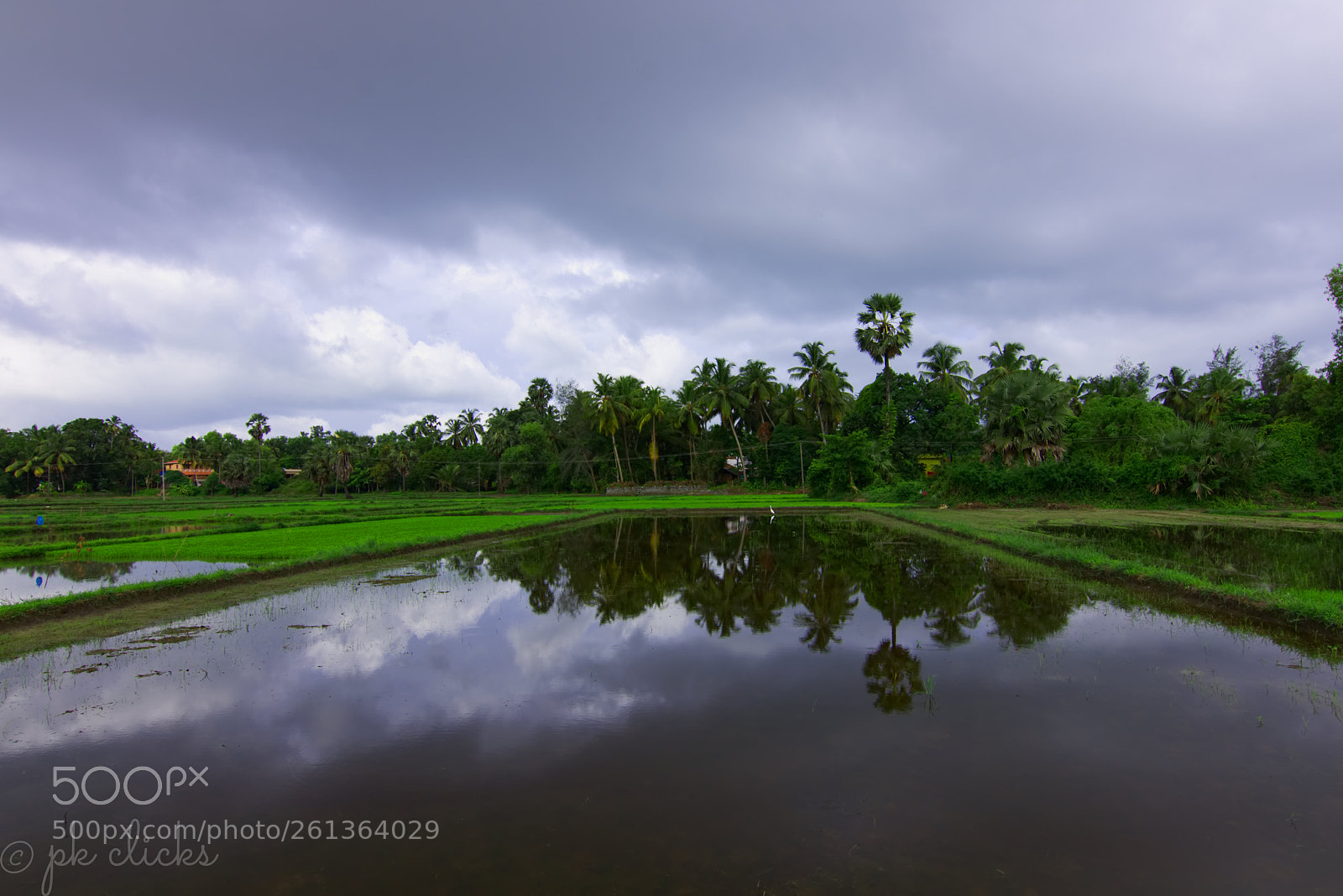 Nikon D7200 sample photo. Rainy days photography