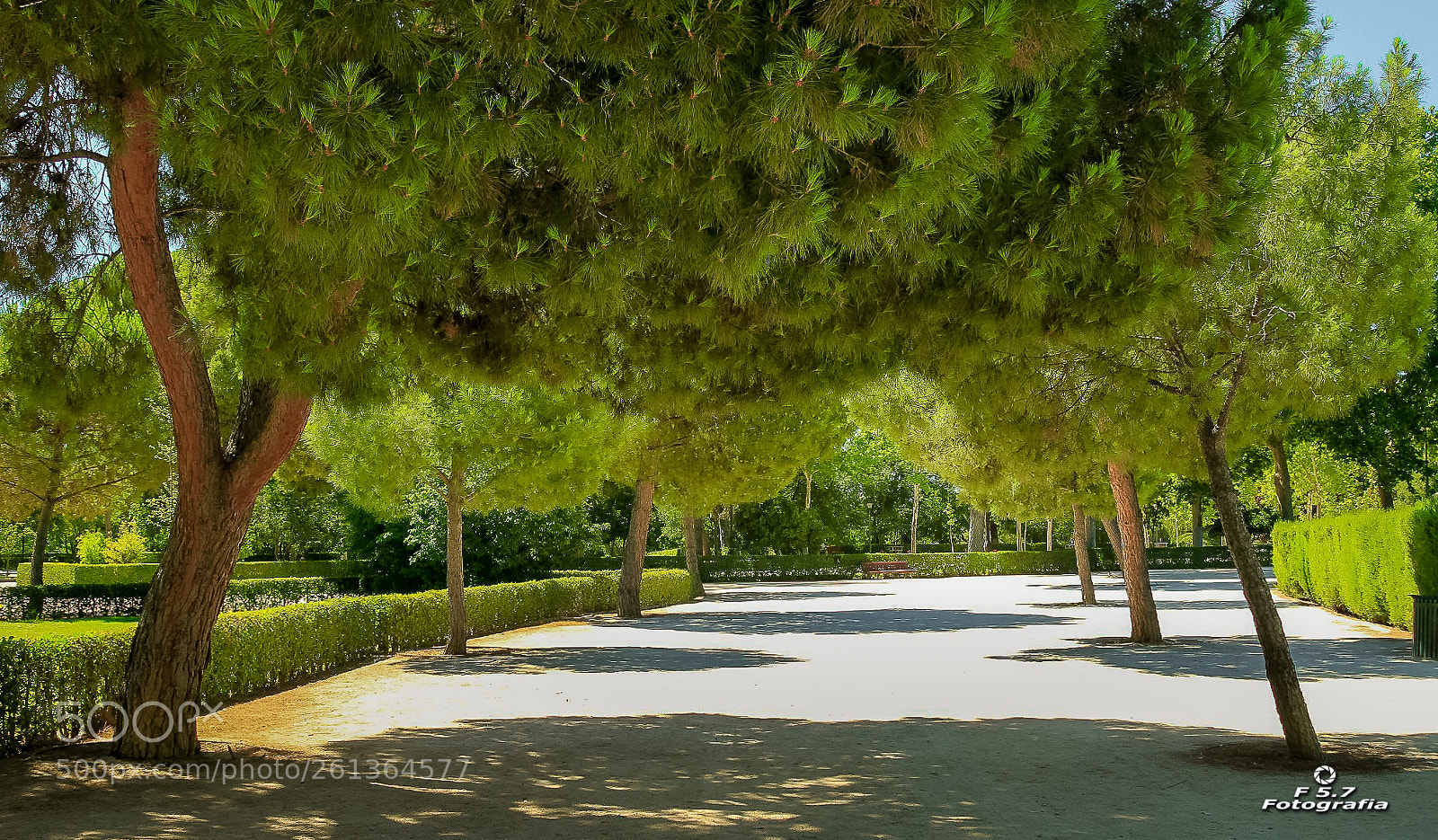 Canon EOS 7D sample photo. Parque del retiro photography