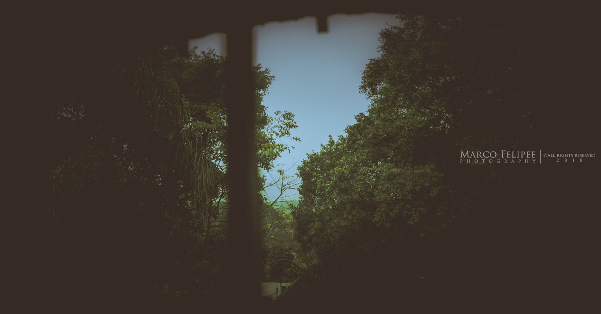 Sony a7S II sample photo. At my window morning photography