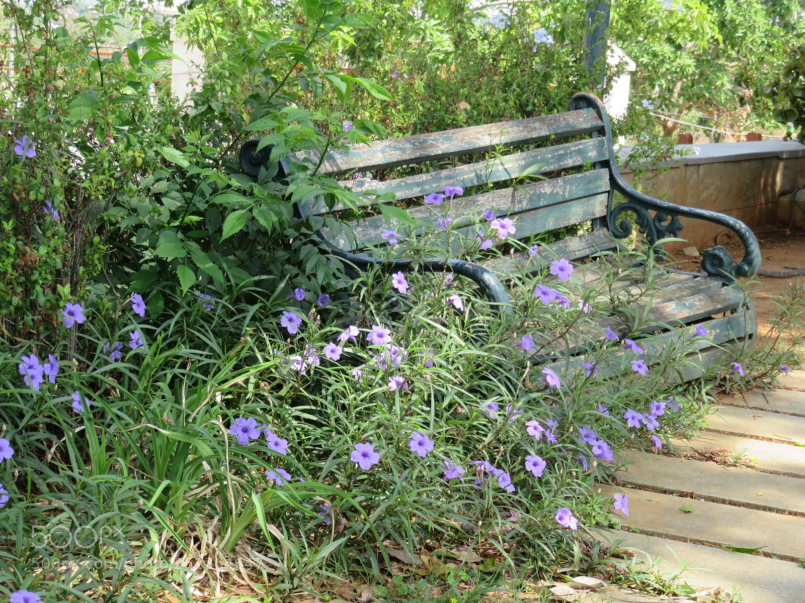 Canon PowerShot SX710 HS sample photo. Untitled photography