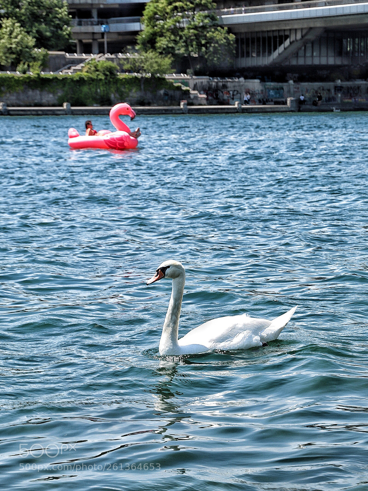 Canon EOS 6D Mark II sample photo. Untitled photography