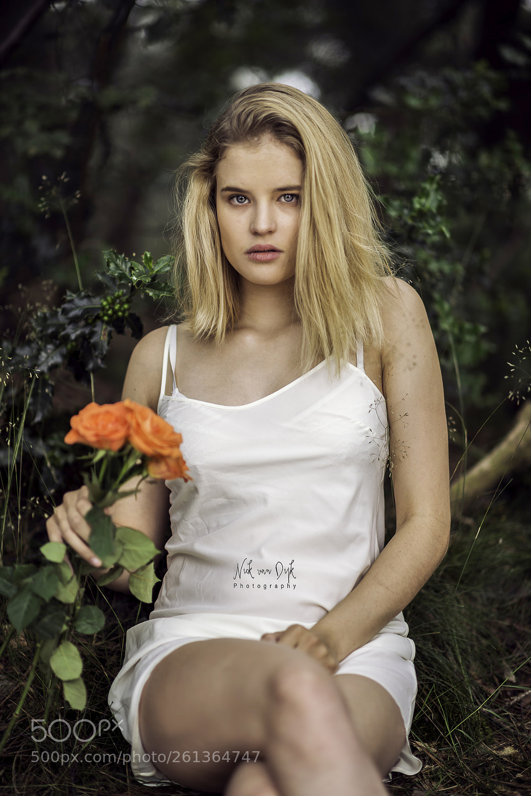 Nikon D800 sample photo. Anthe photography