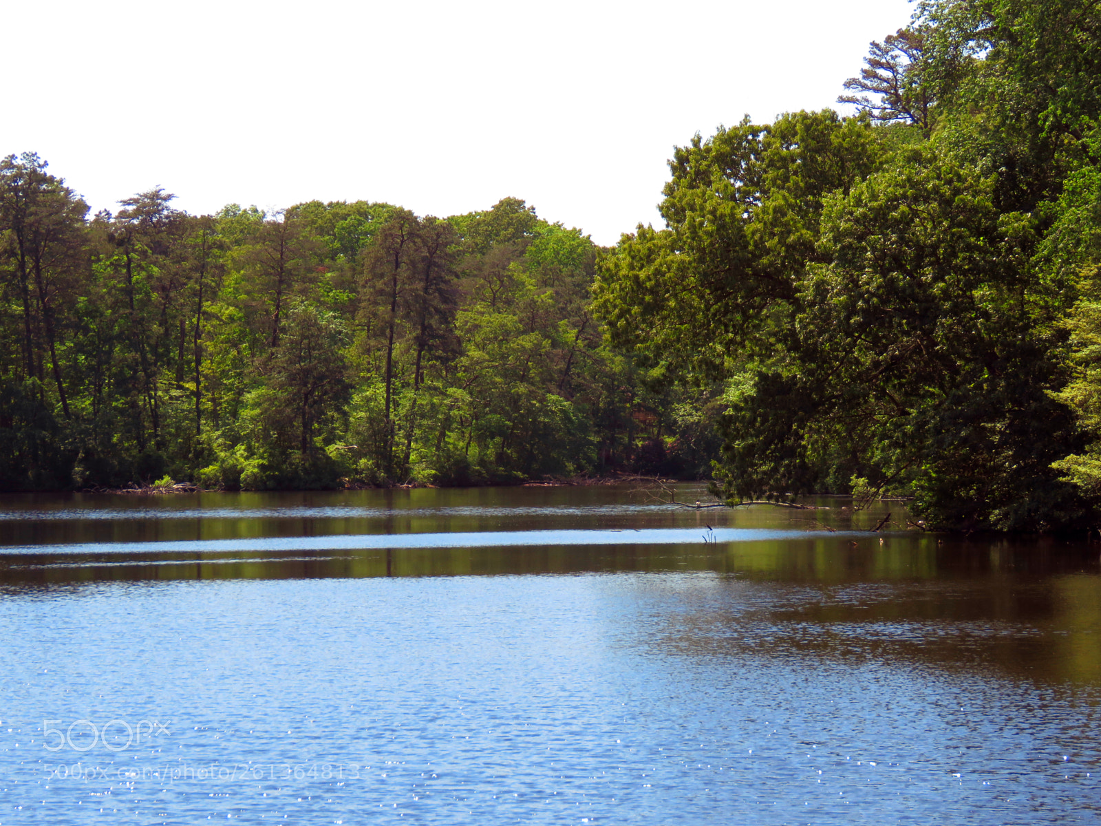 Canon PowerShot SX60 HS sample photo. Lake waterford 2 photography