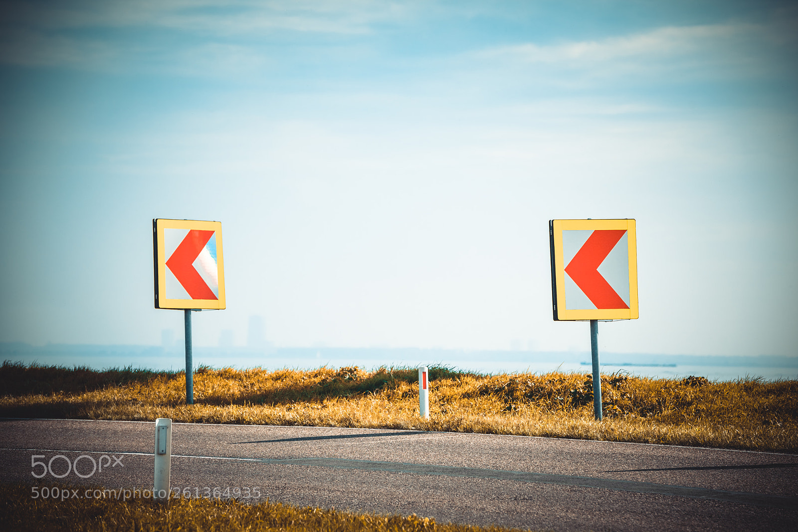 Nikon D810 sample photo. Turn left sign on photography