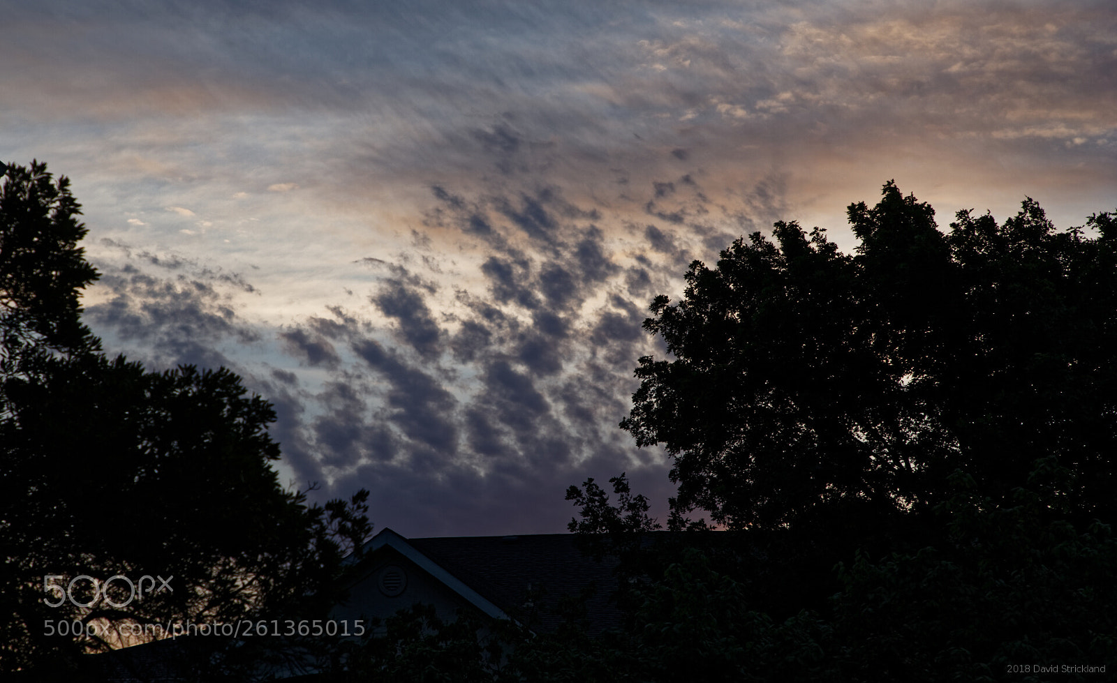 Canon EF 24-105mm F4L IS II USM sample photo. Trees, clouds, and a photography