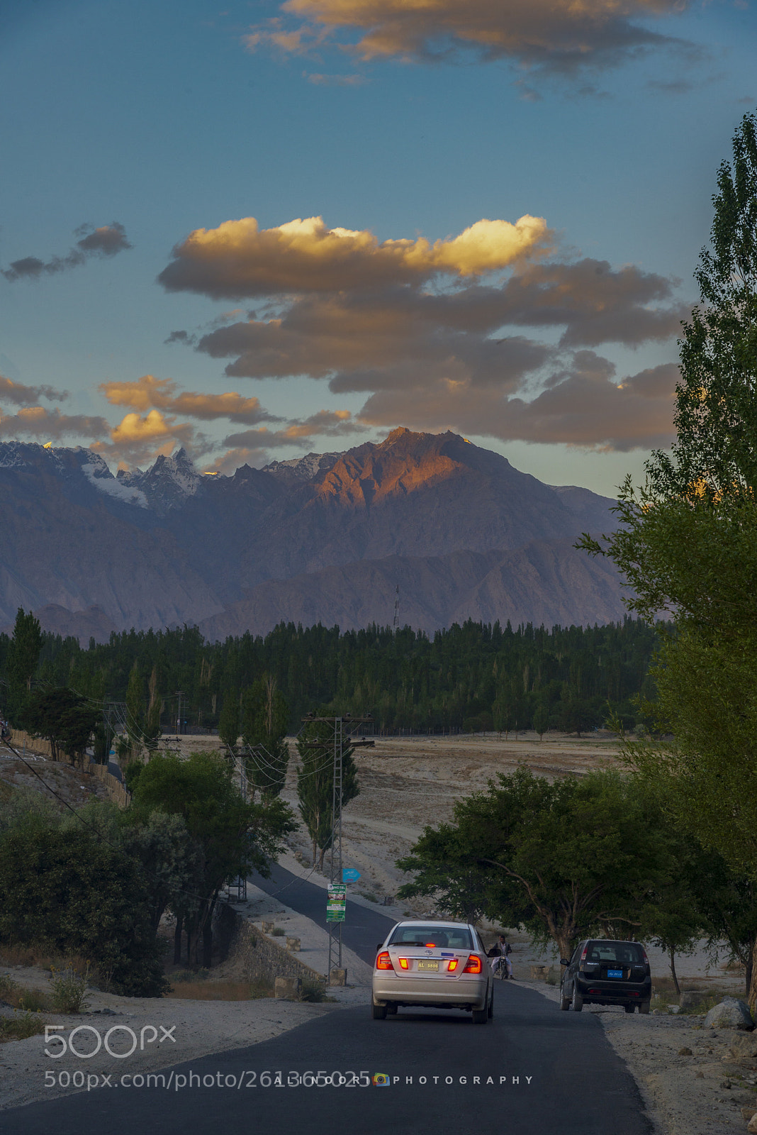 Nikon D610 sample photo. Untitled photography