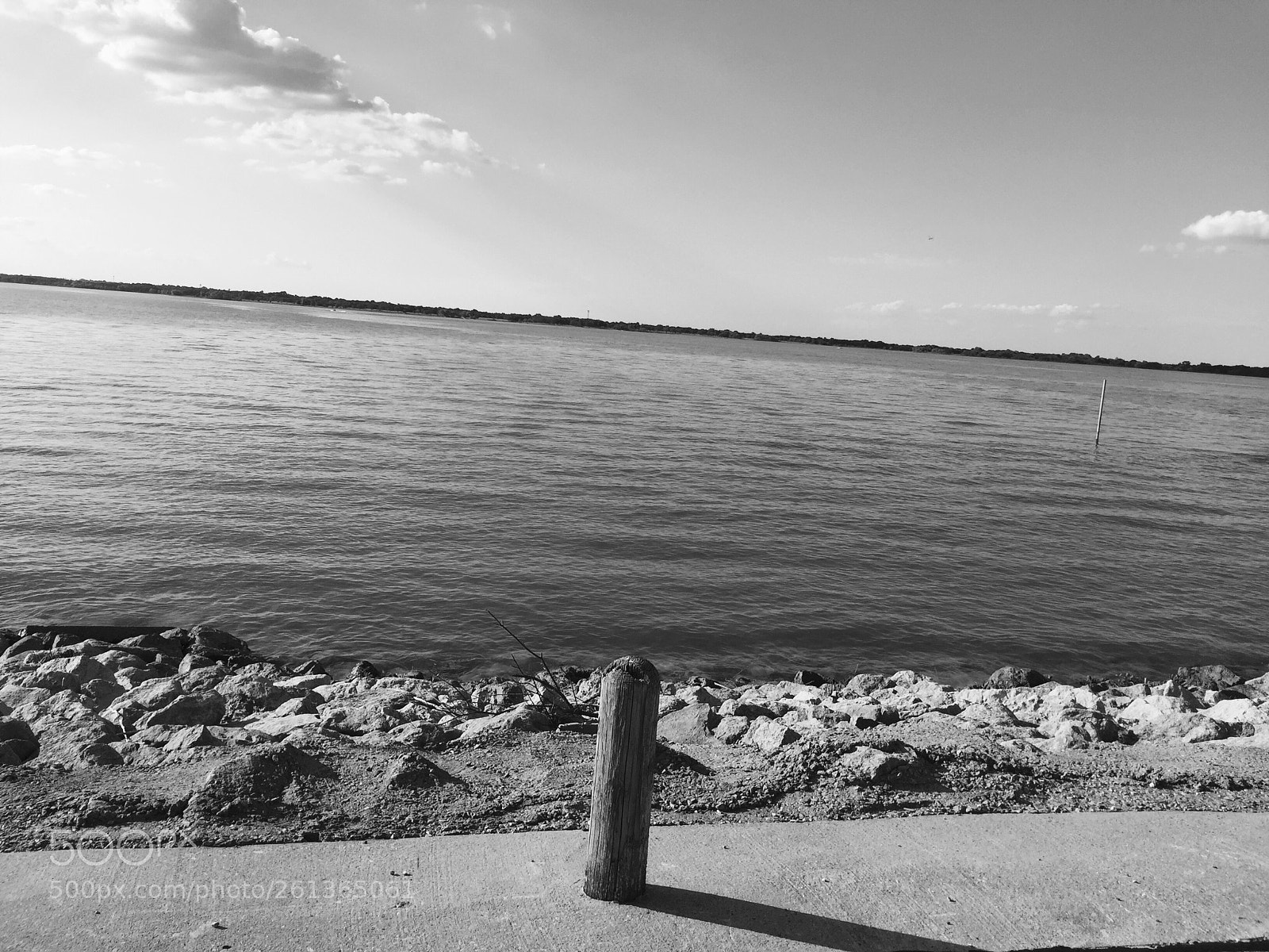 Apple iPhone 6 sample photo. Untitled photography