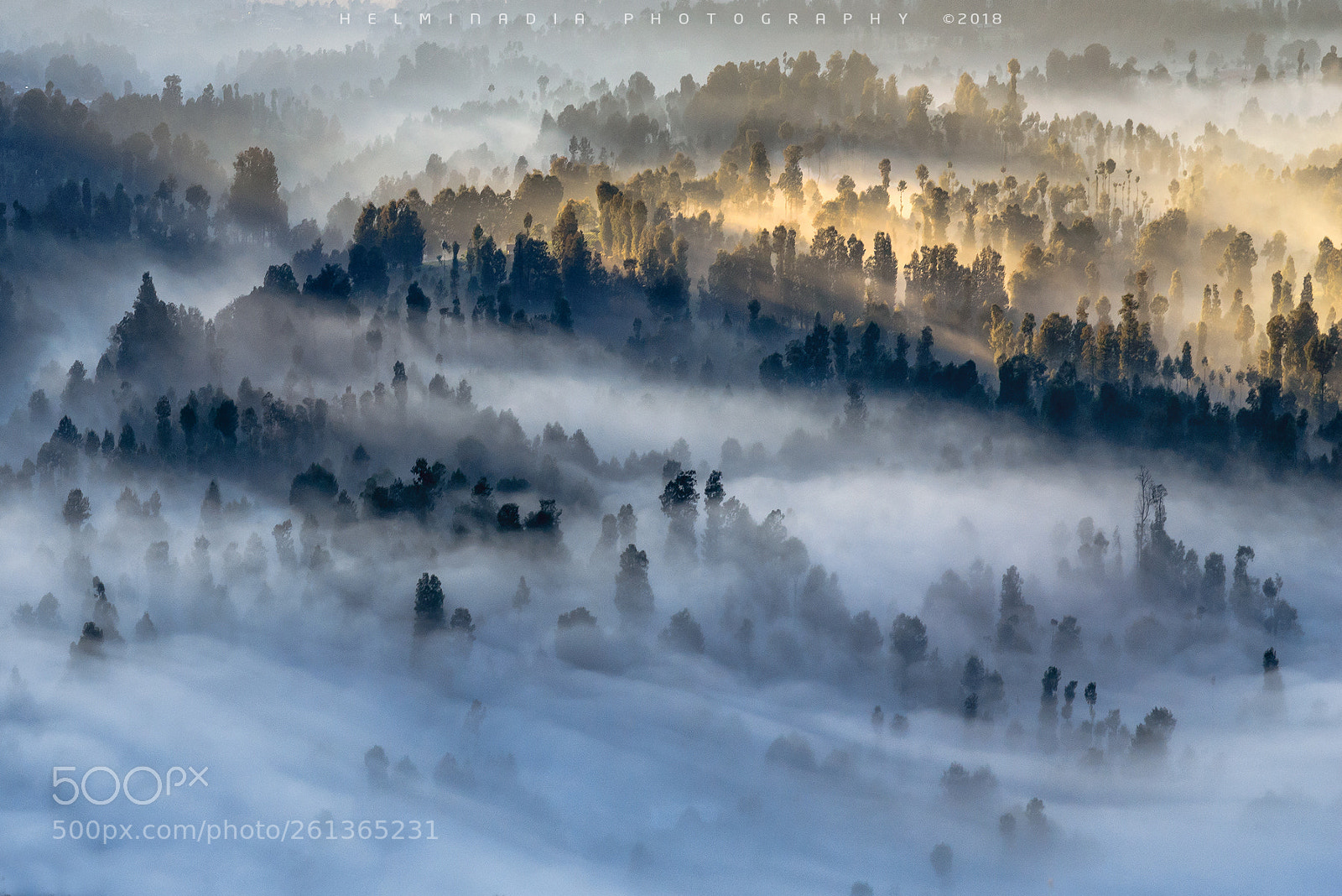 Nikon D800E sample photo. Fog-bromo national park photography