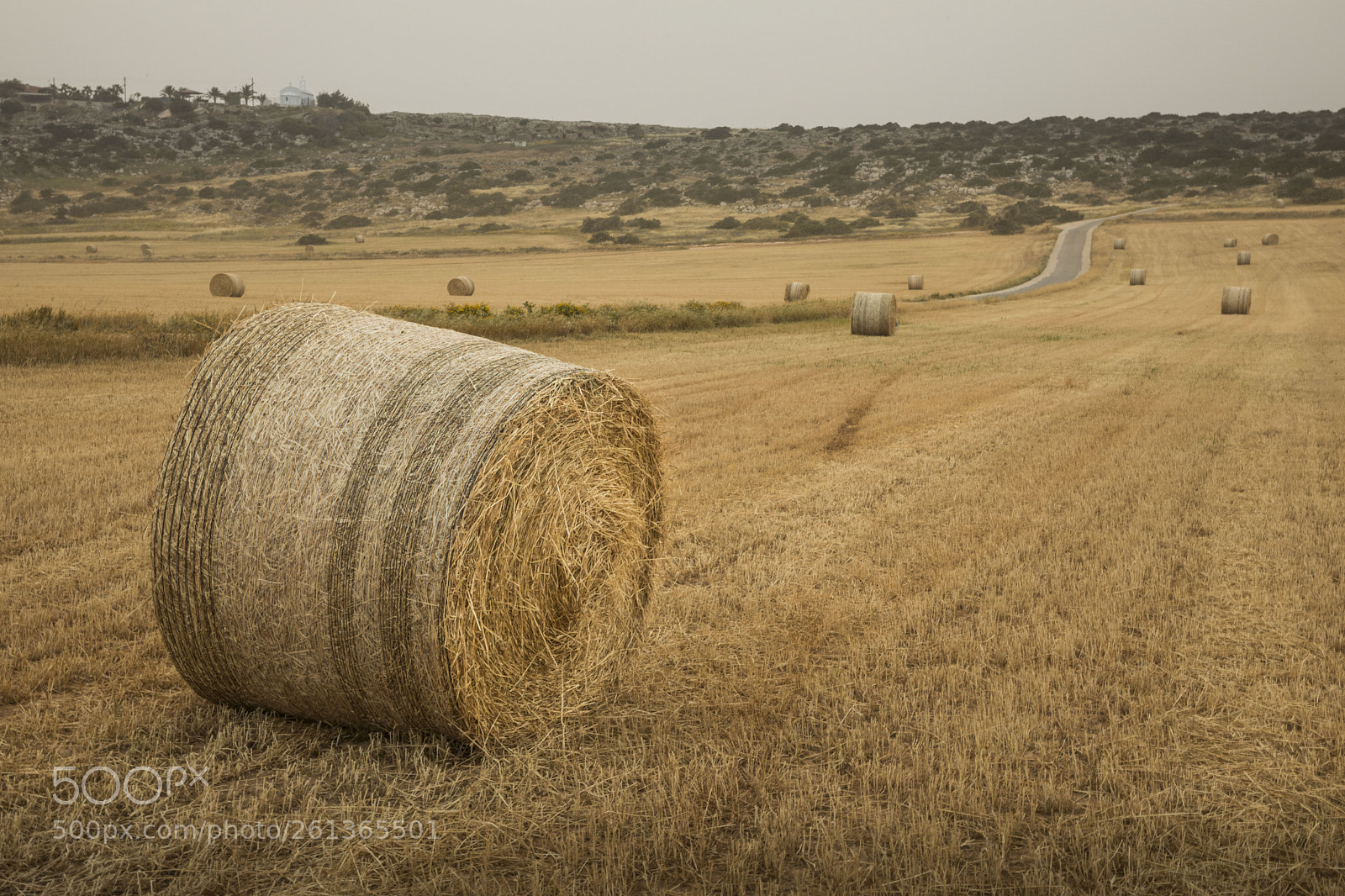 Canon EOS 5D Mark IV sample photo. Haystacks in the fields photography