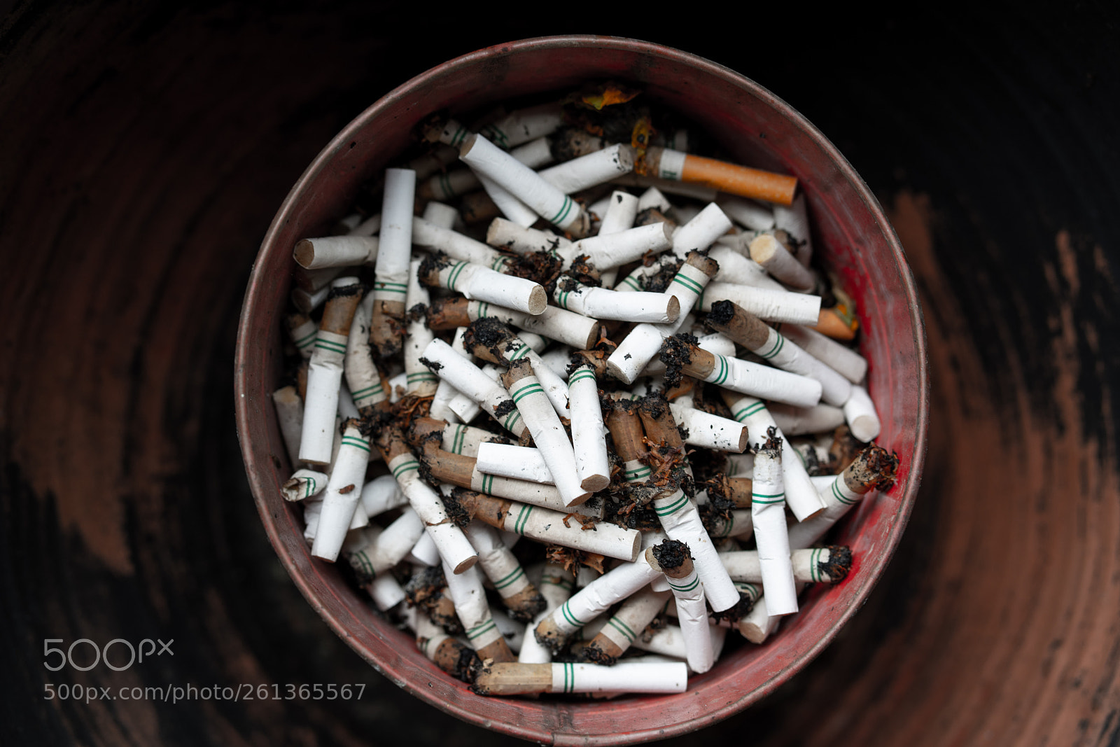 Sony a7R II sample photo. Half-full photography