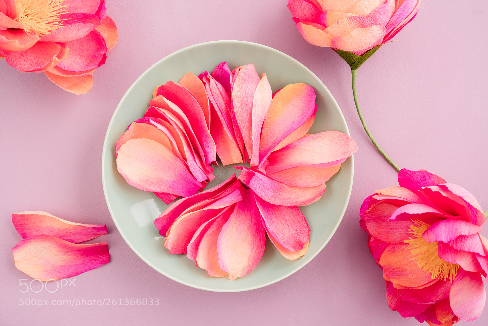 Sony a7R III sample photo. Crepe paper peony flowers photography