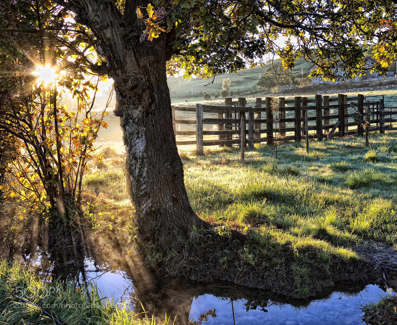 Canon EOS 50D sample photo. Countryside photography