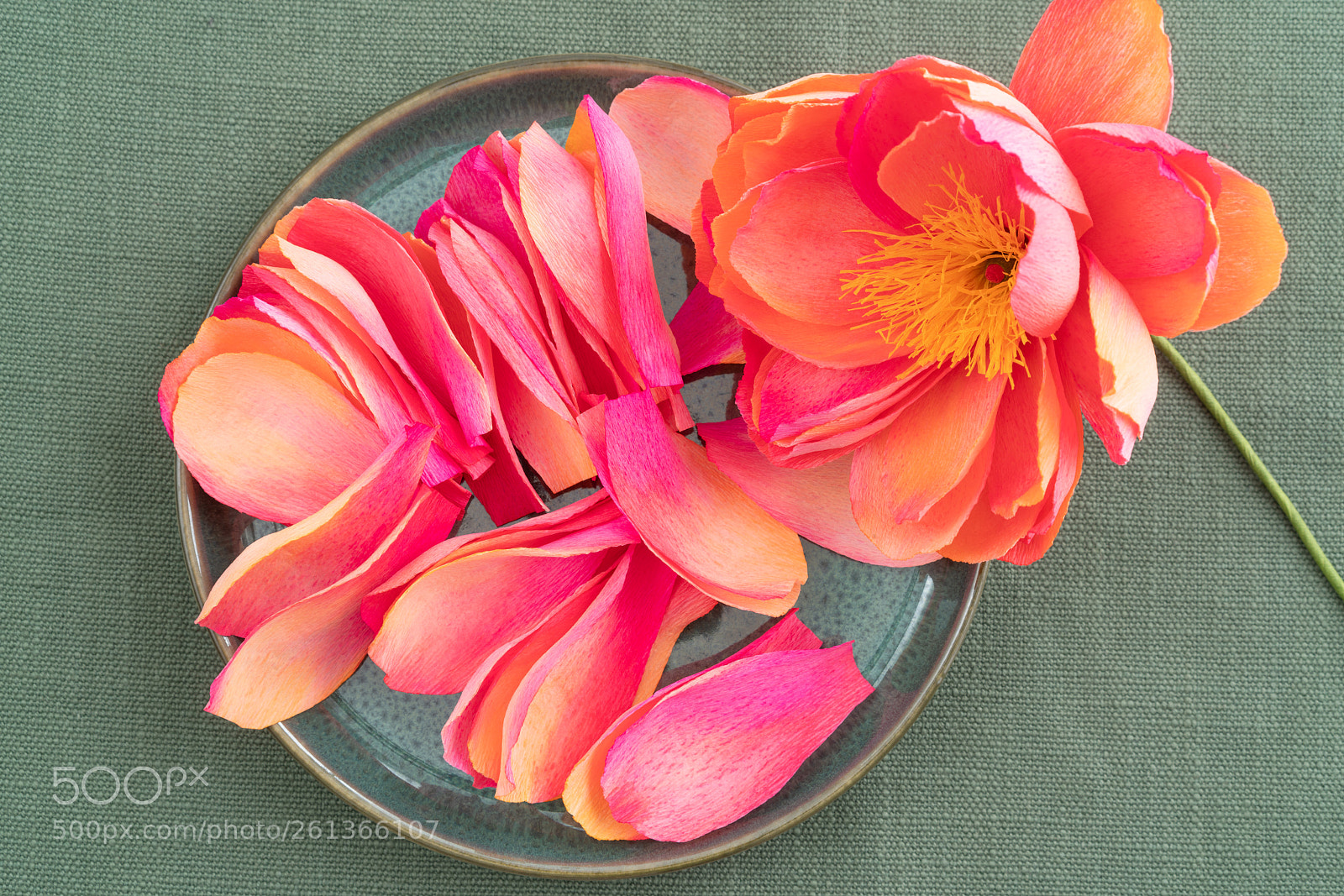 Sony a7R III sample photo. Crepe paper peony flowers photography