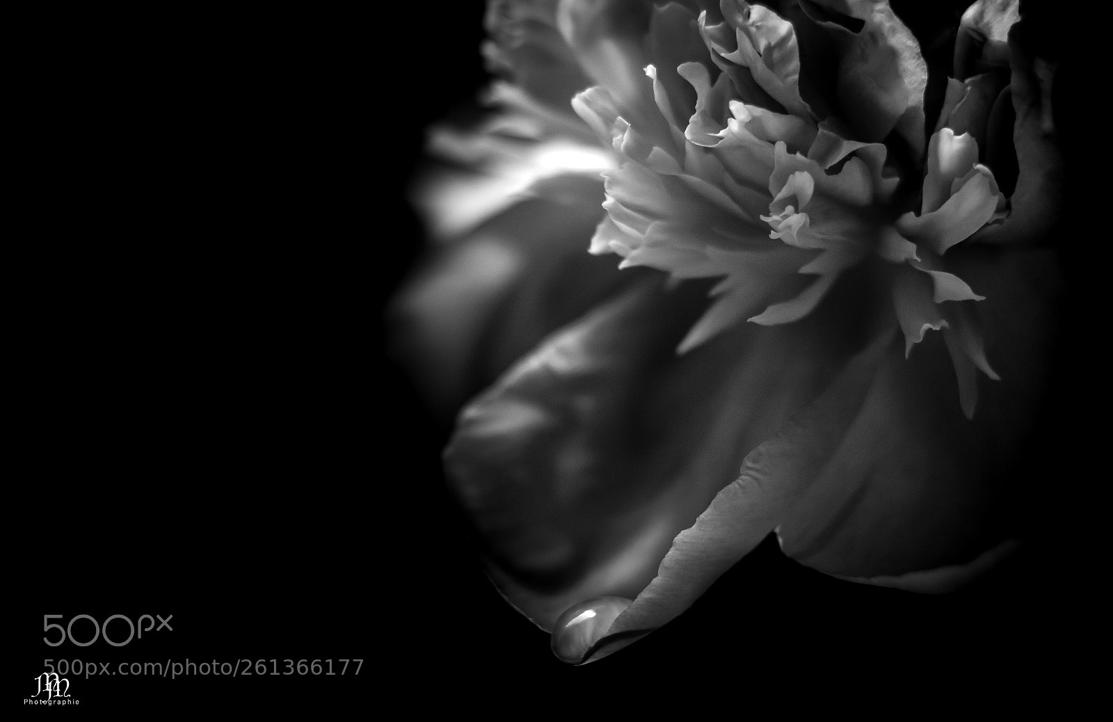 Canon EOS 750D (EOS Rebel T6i / EOS Kiss X8i) sample photo. Joie ou tristesse ? photography