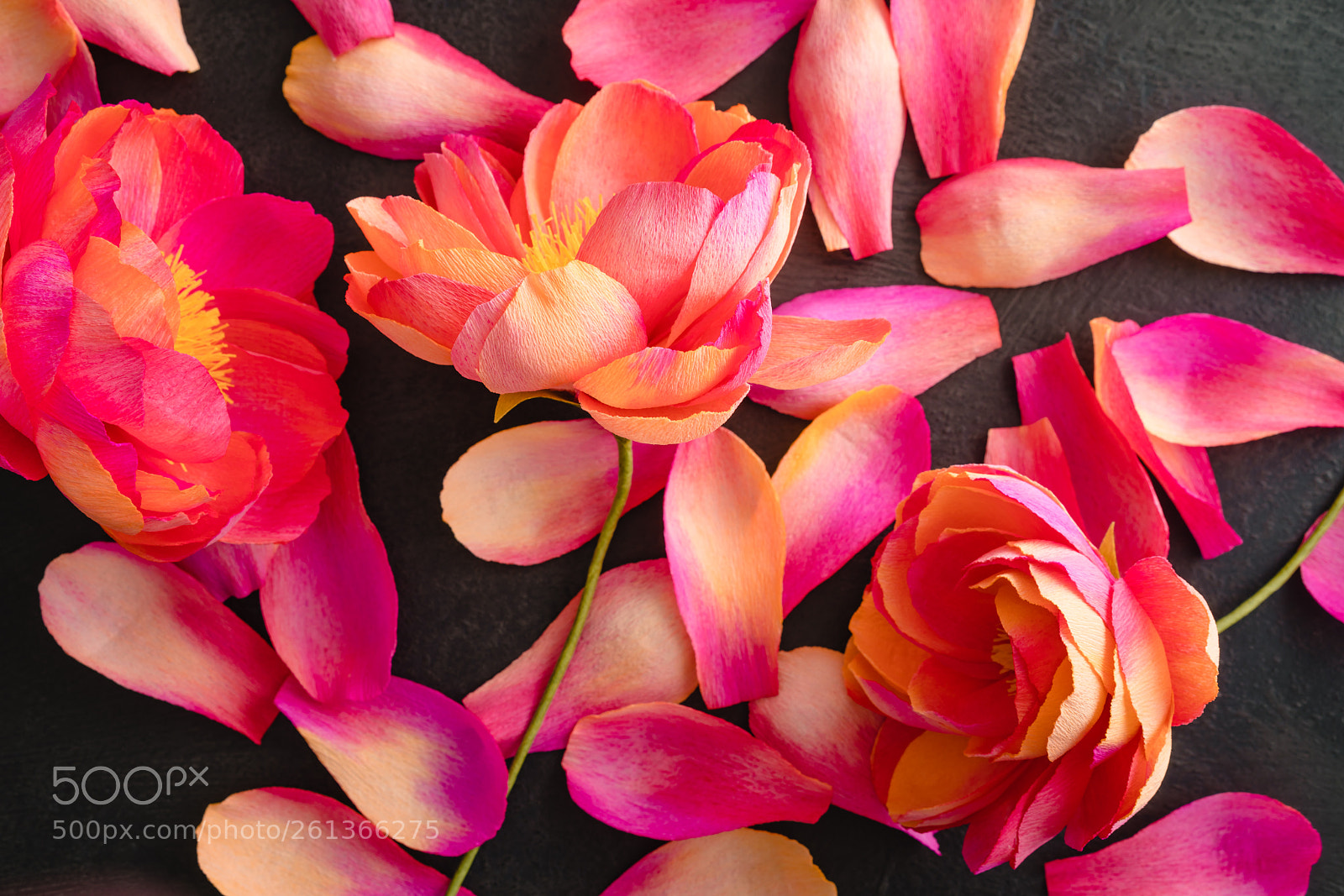 Sony a7R III sample photo. Crepe paper peony flowers photography