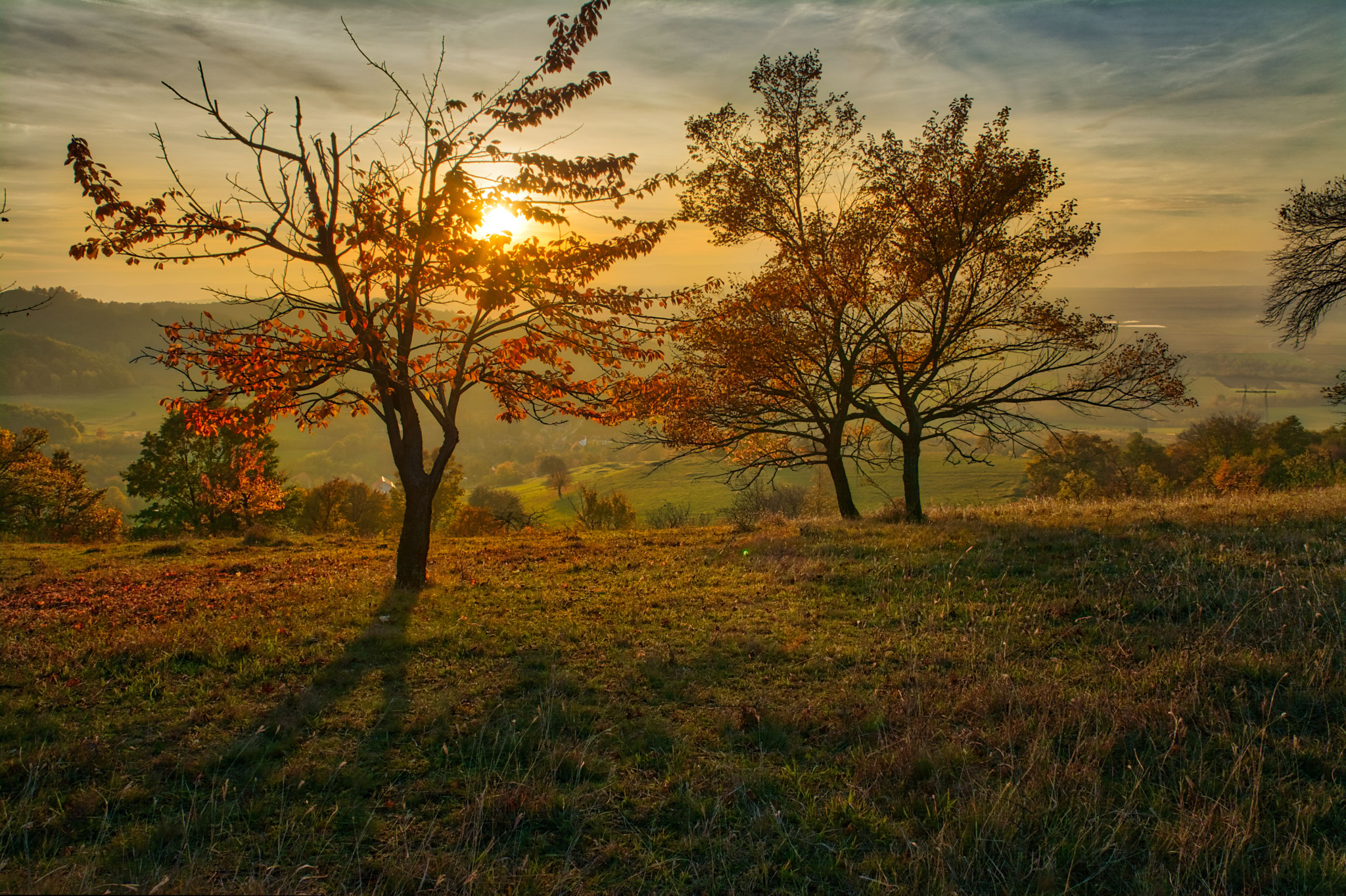 Sigma 17-50mm F2.8 EX DC OS HSM sample photo. Totia photography