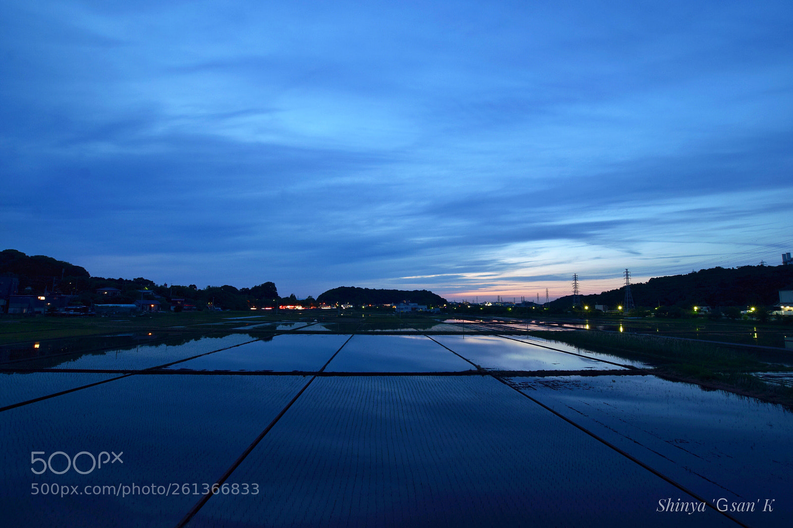 Nikon D5300 sample photo. Paddy field sun set
 photography