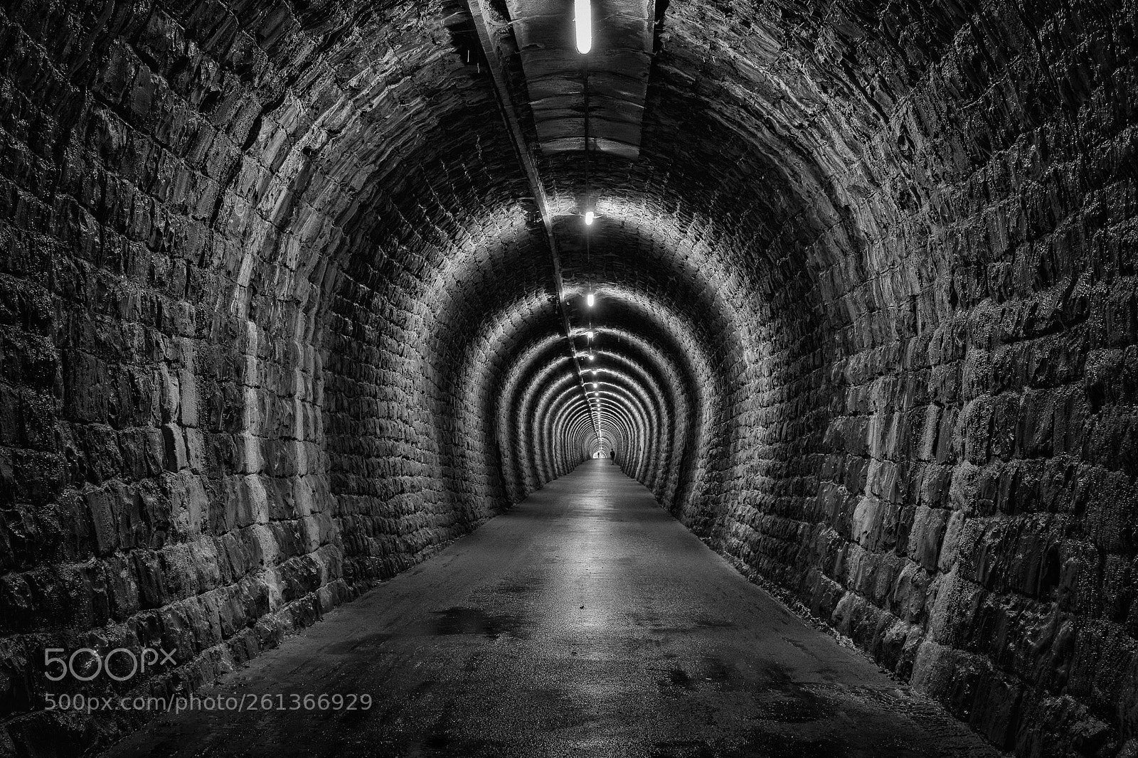 Sony a7 sample photo. Through the tunnel photography