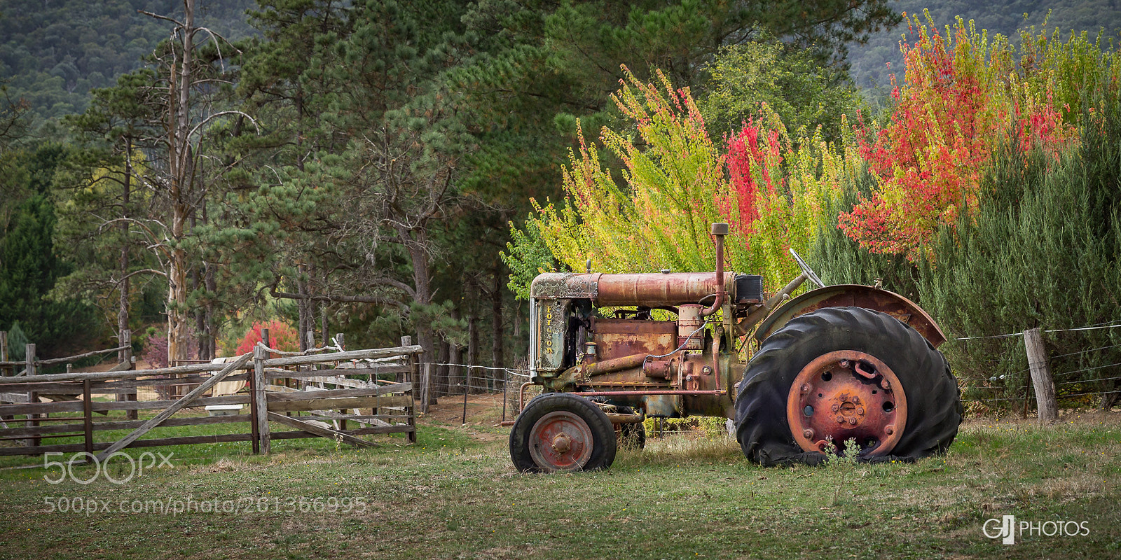 Canon EOS 60D sample photo. Resting photography