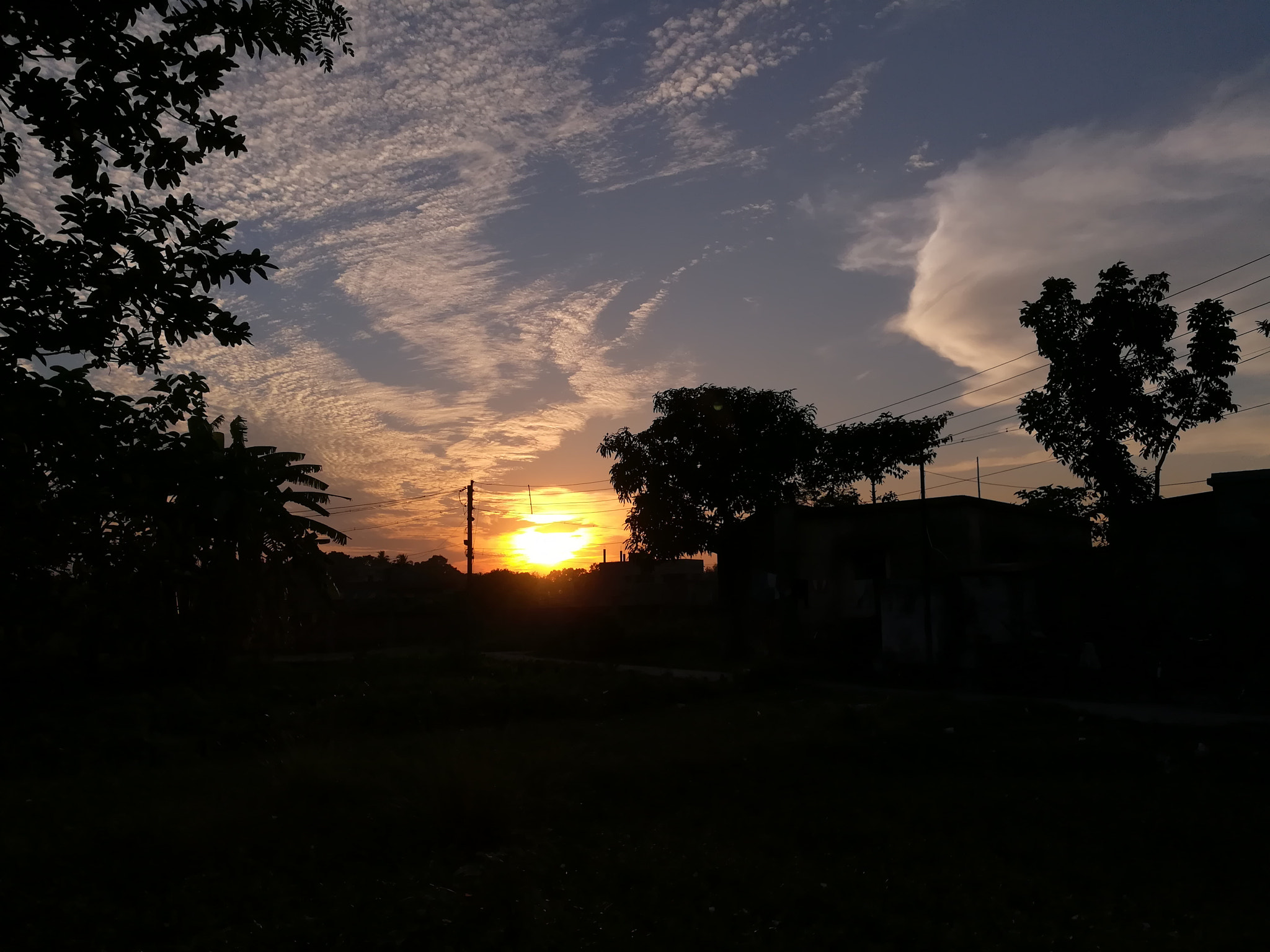 HUAWEI honor 6x sample photo