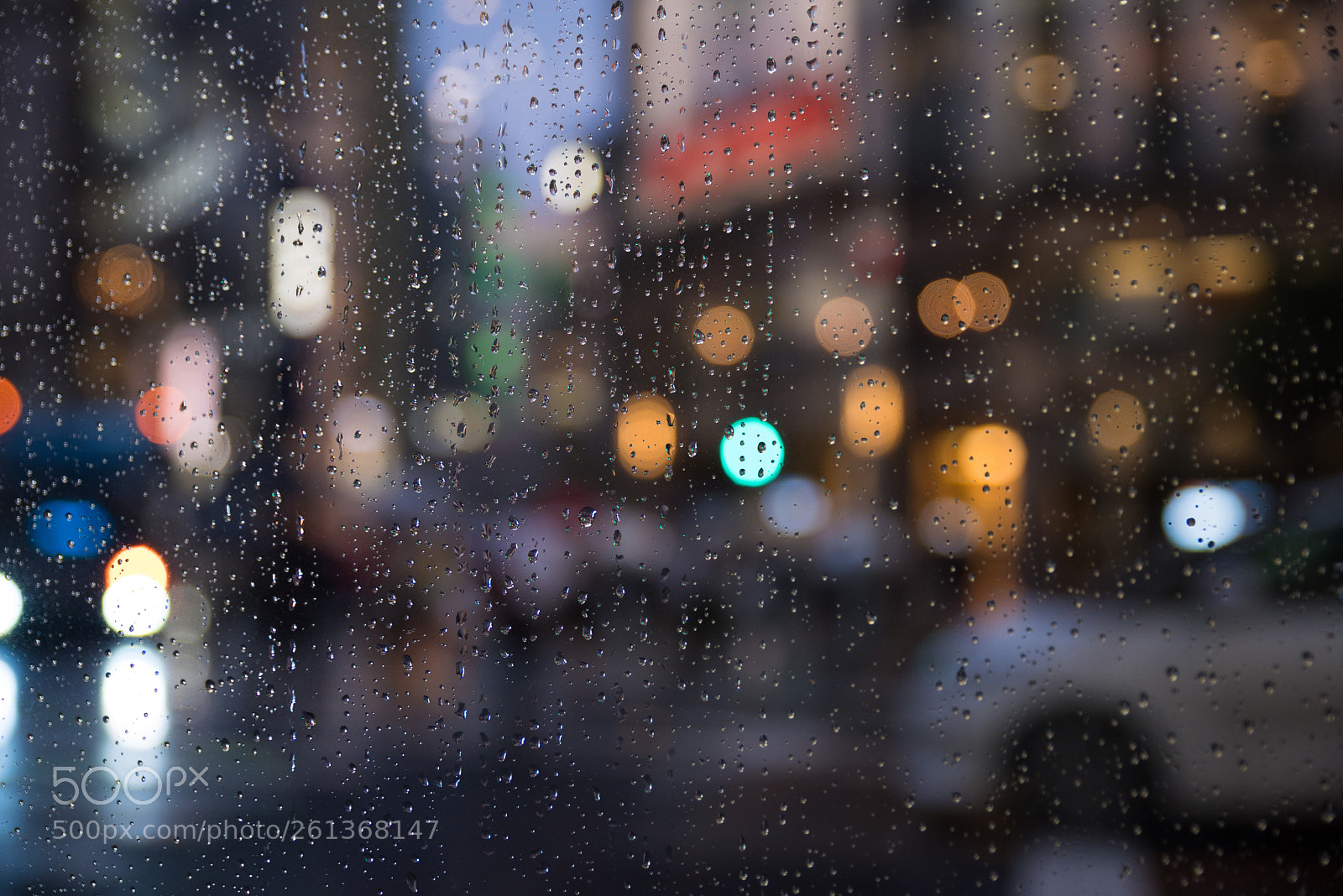 Pentax K-1 sample photo. Untitled photography