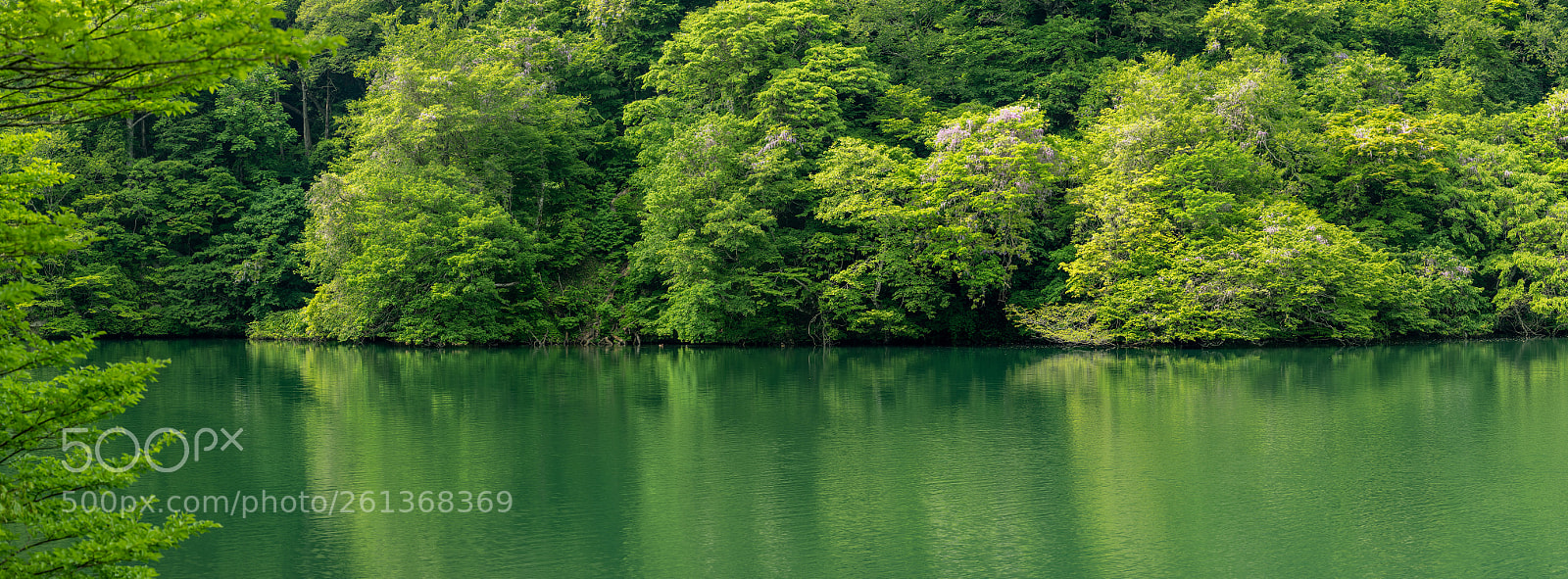 Nikon D850 sample photo. The season of new photography