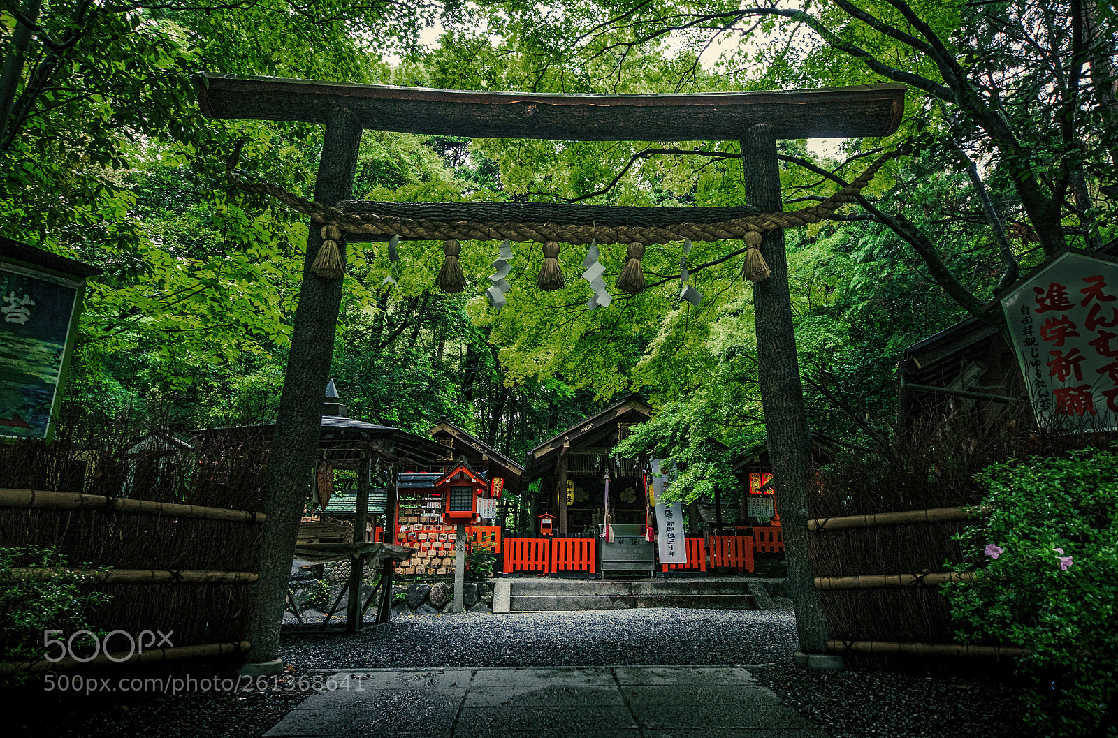 Canon EOS 5D Mark IV sample photo. Nature photography
