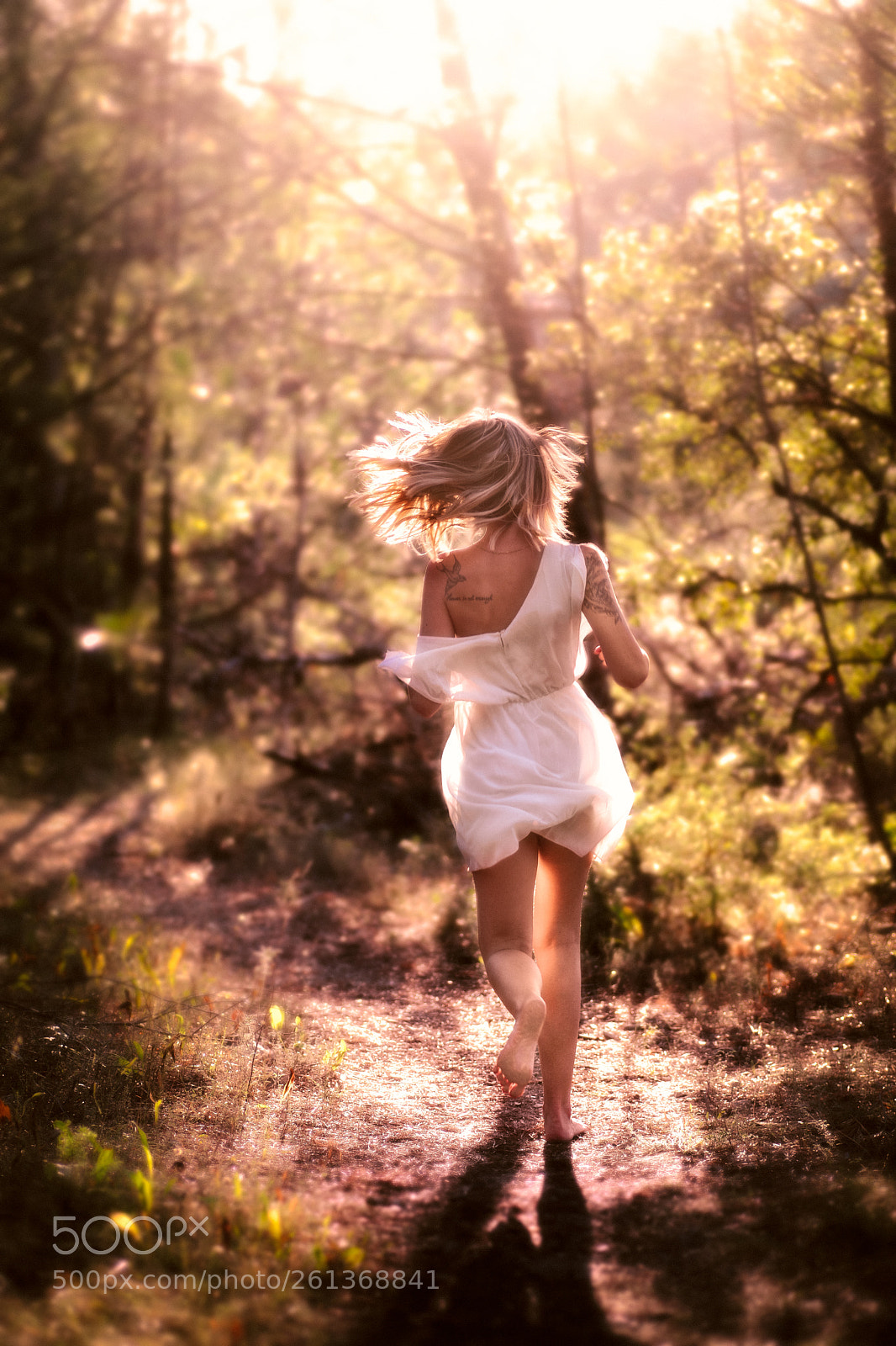 Nikon D5300 sample photo. Enchanting. photography